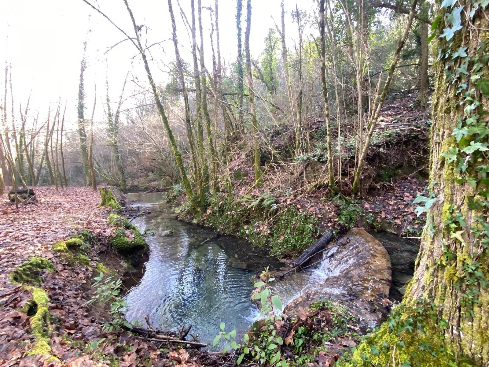 Casas o chalets-Venta-Sant Aniol de Finestres-1893691-Foto-40
