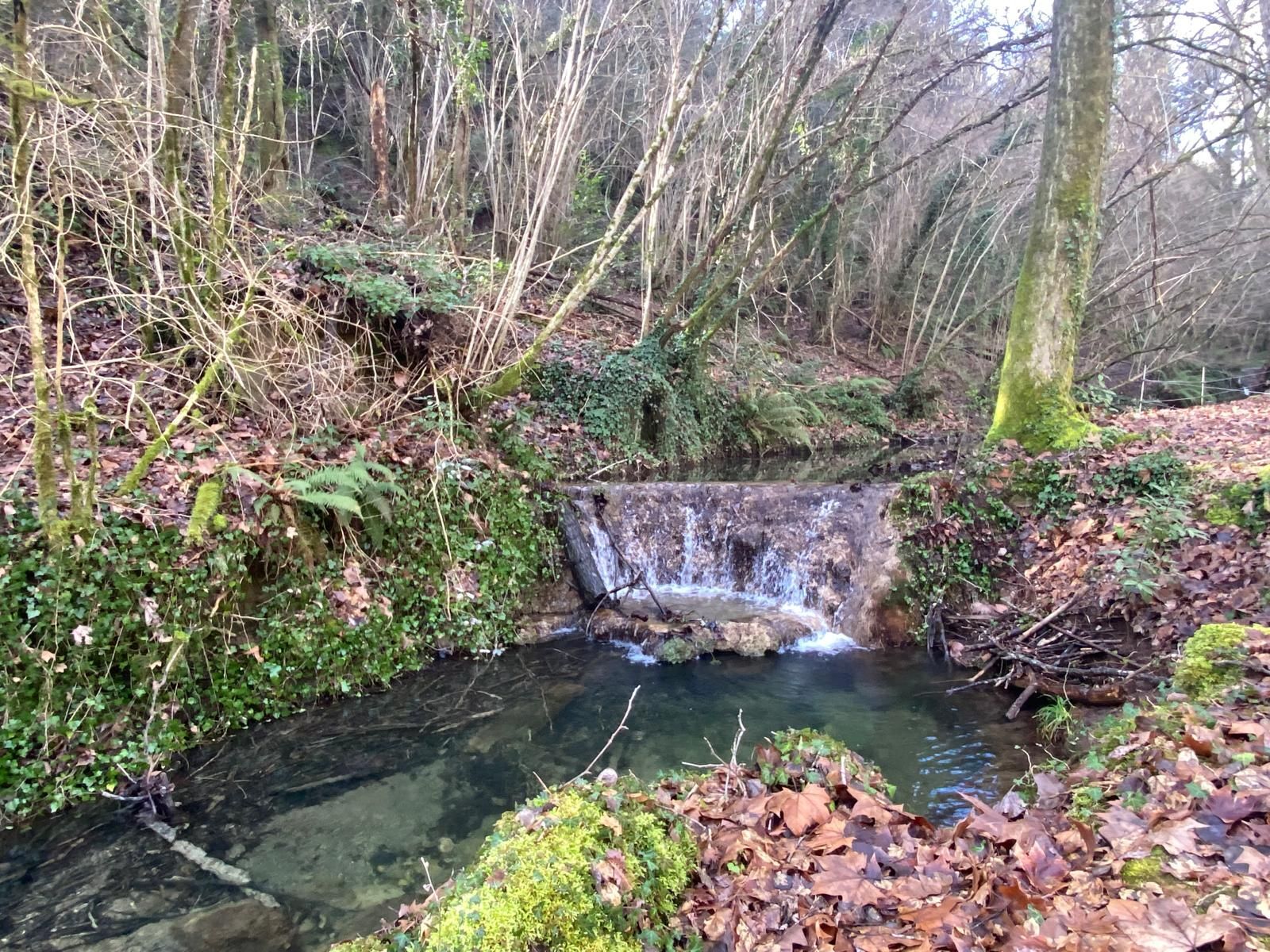 Casas o chalets-Venta-Sant Aniol de Finestres-1893691-Foto-39