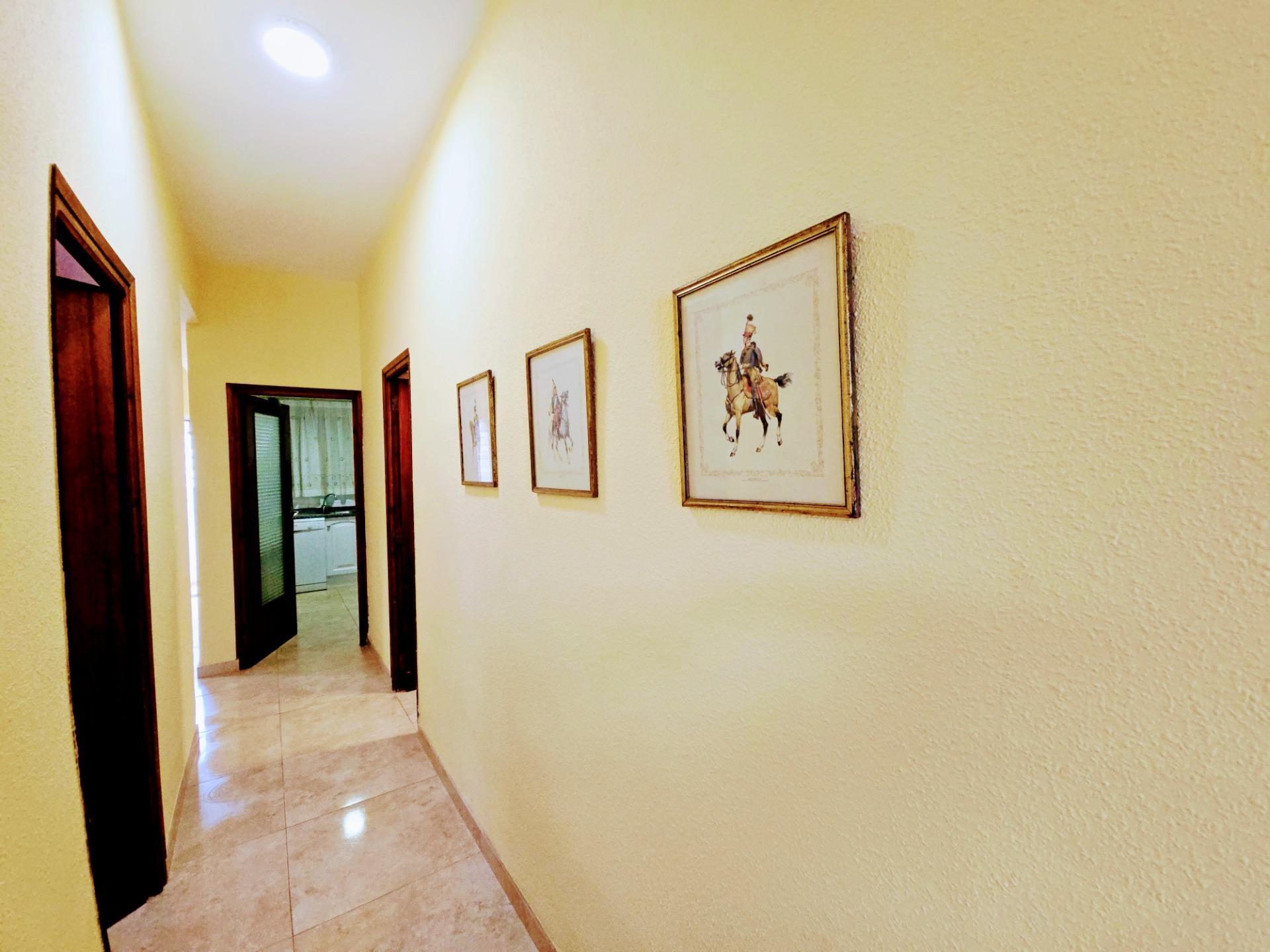 Casas o chalets-Alquiler-Miramar-1838075-Foto-29