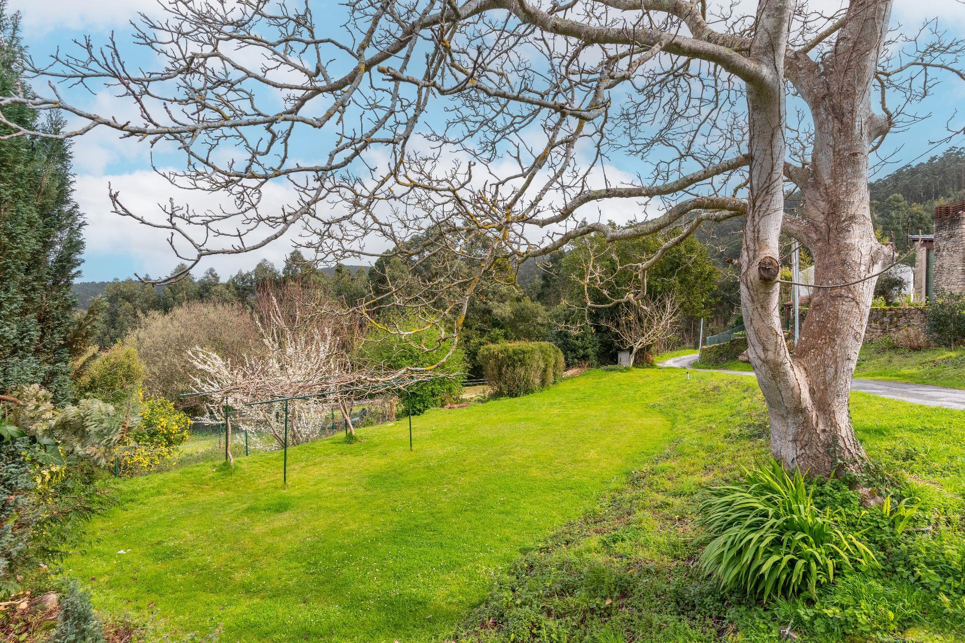 Casas o chalets-Venta-Viveiro-2151795-Foto-45