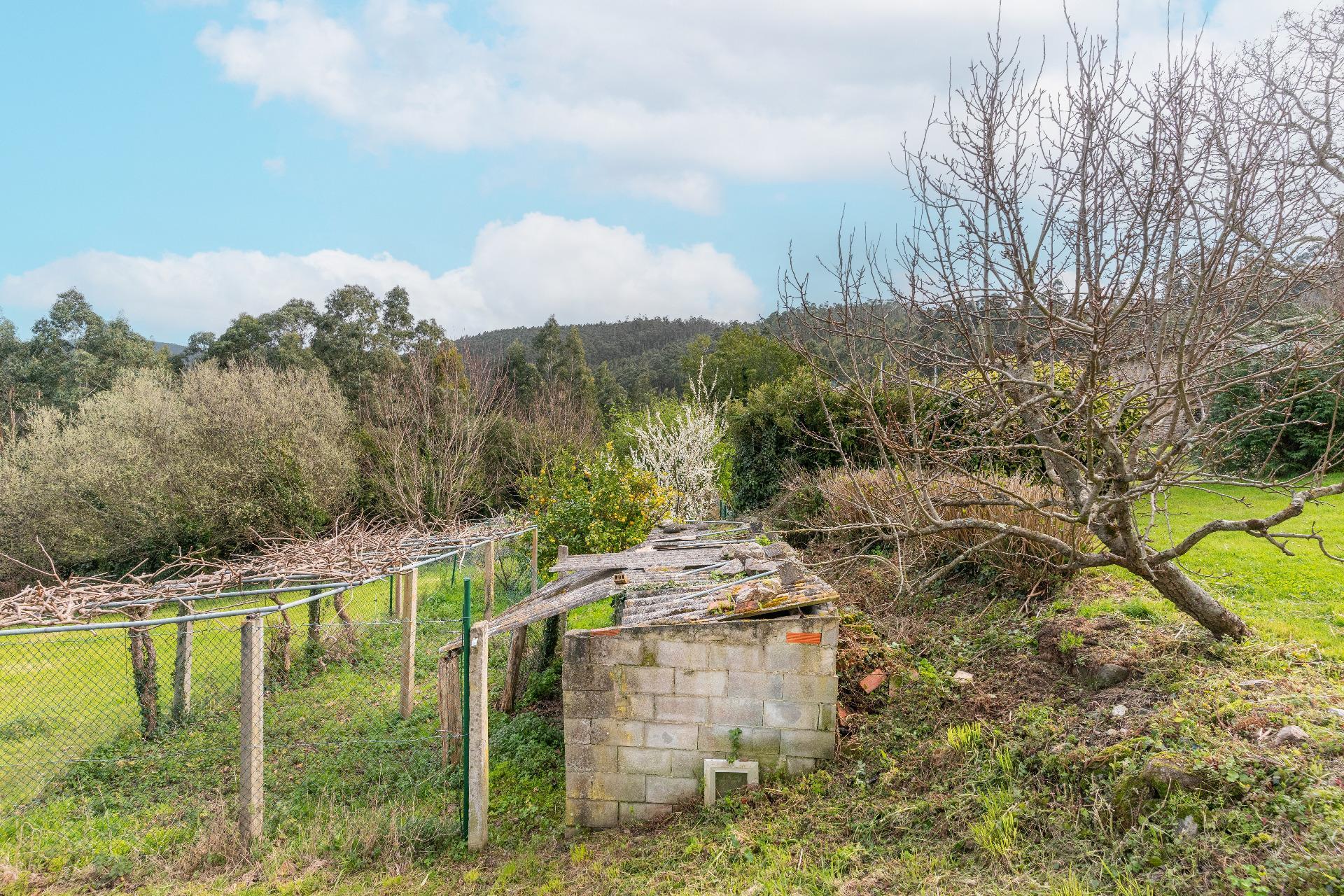 Casas o chalets-Venta-Viveiro-2151795-Foto-64