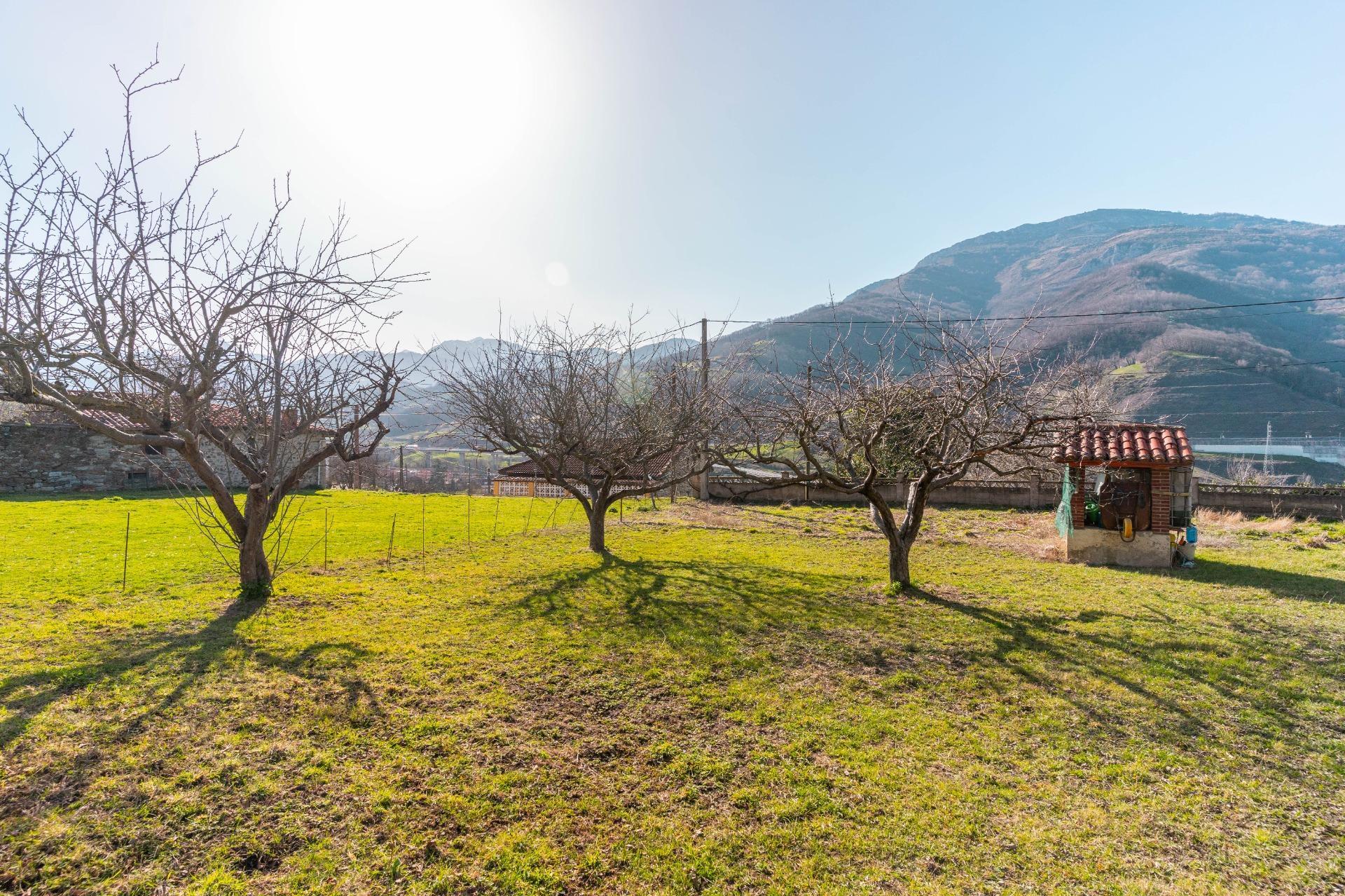 Casas o chalets-Venta-Villena-2151801-Foto-14