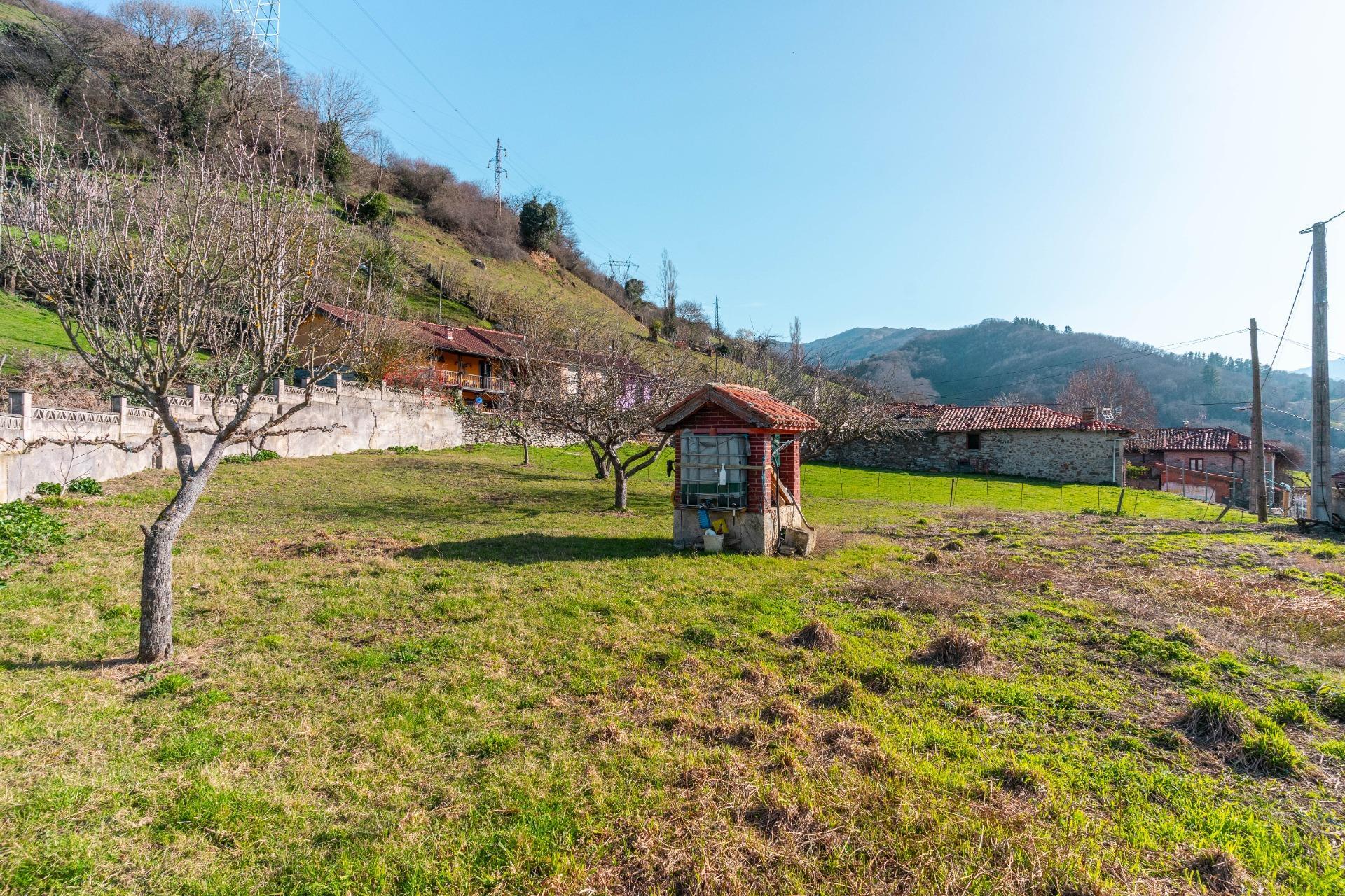 Casas o chalets-Venta-Villena-2151801-Foto-15