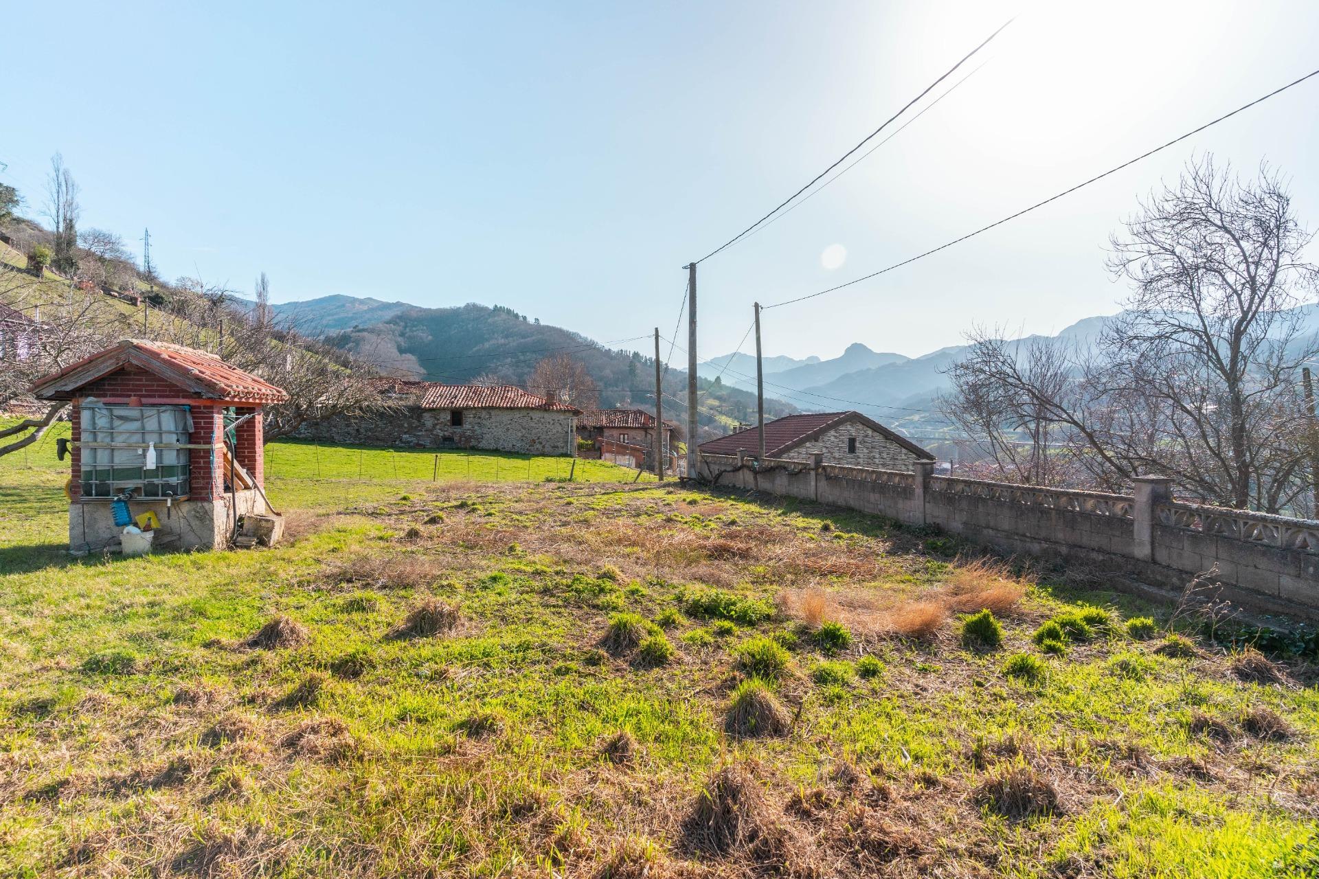 Casas o chalets-Venta-Villena-2151801-Foto-13