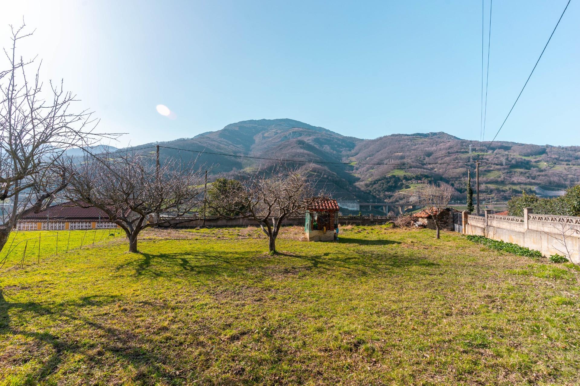 Casas o chalets-Venta-Villena-2151801-Foto-16