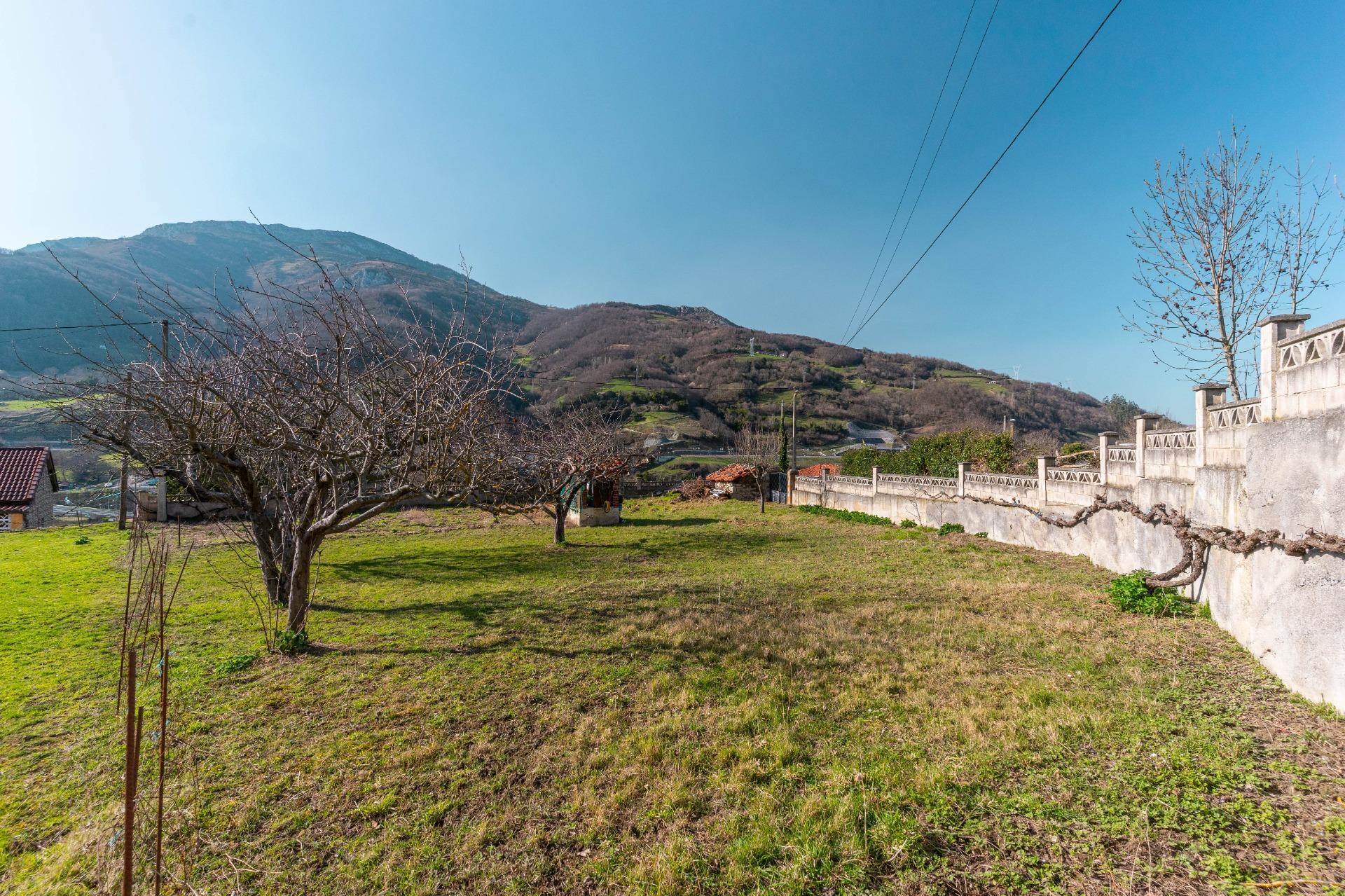 Casas o chalets-Venta-Villena-2151801-Foto-22