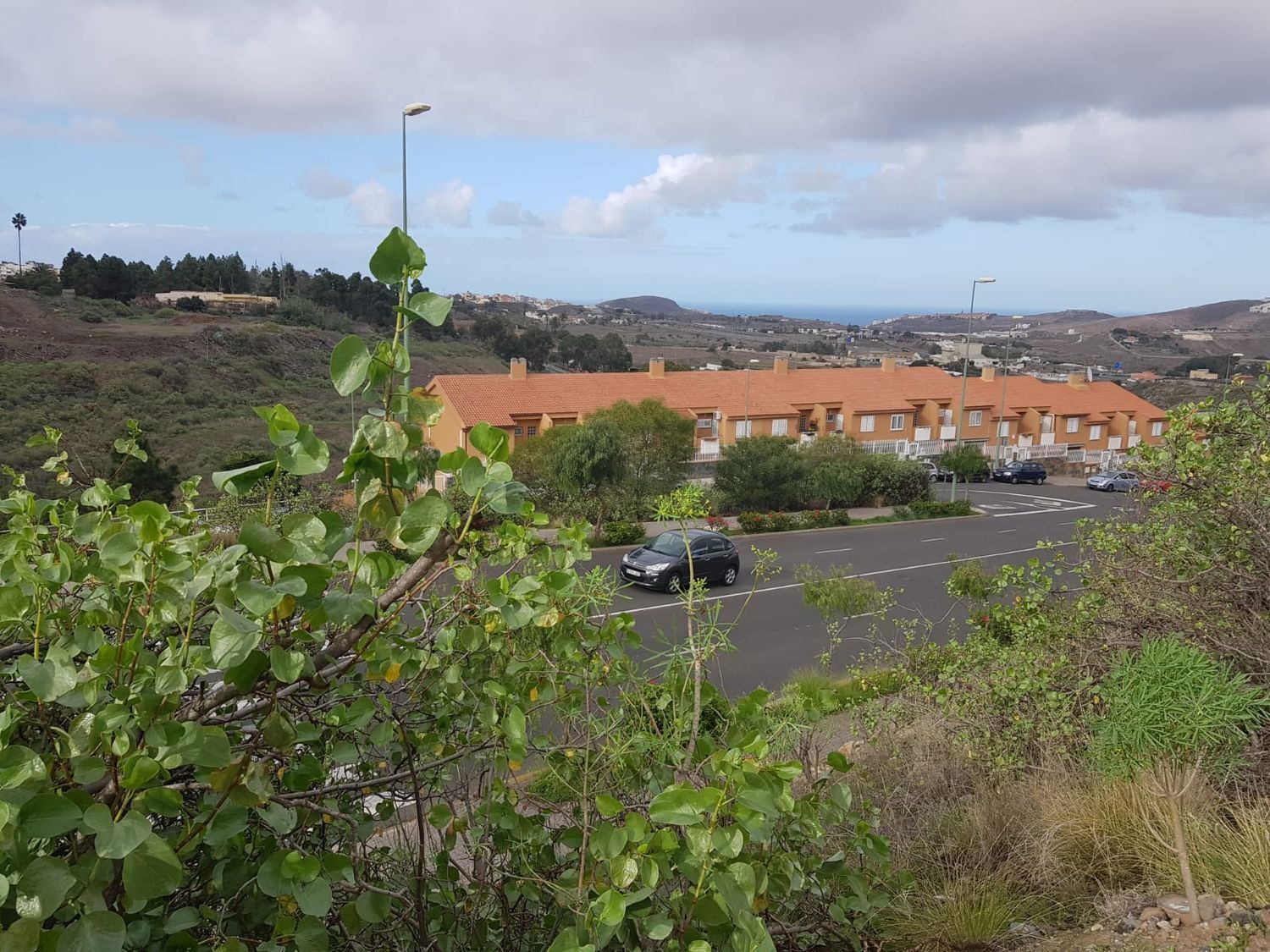 Fincas y solares-Venta-Las Palmas de Gran Canaria-666508-Foto-4