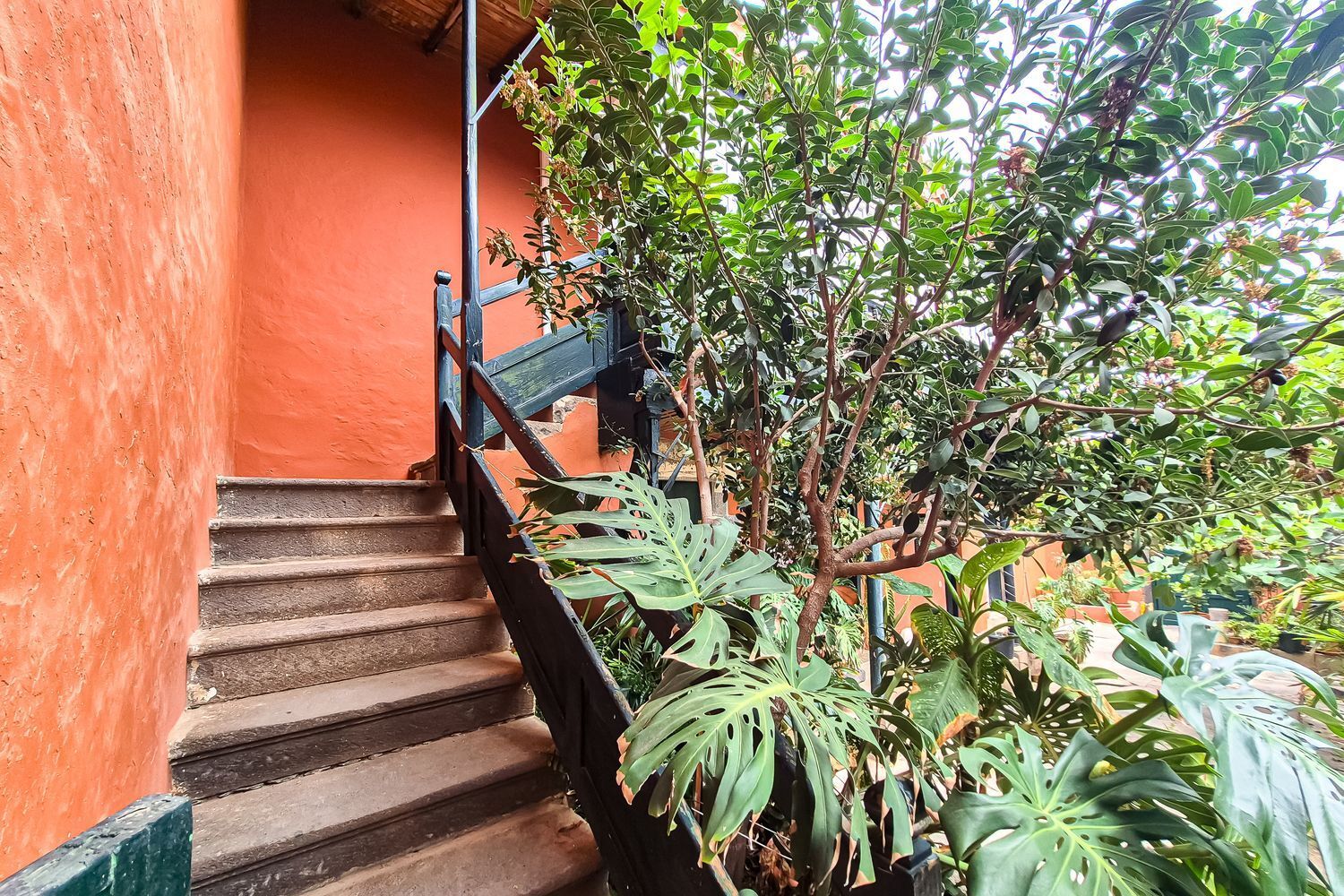 Casas o chalets-Venta-Arucas-1904762-Foto-14