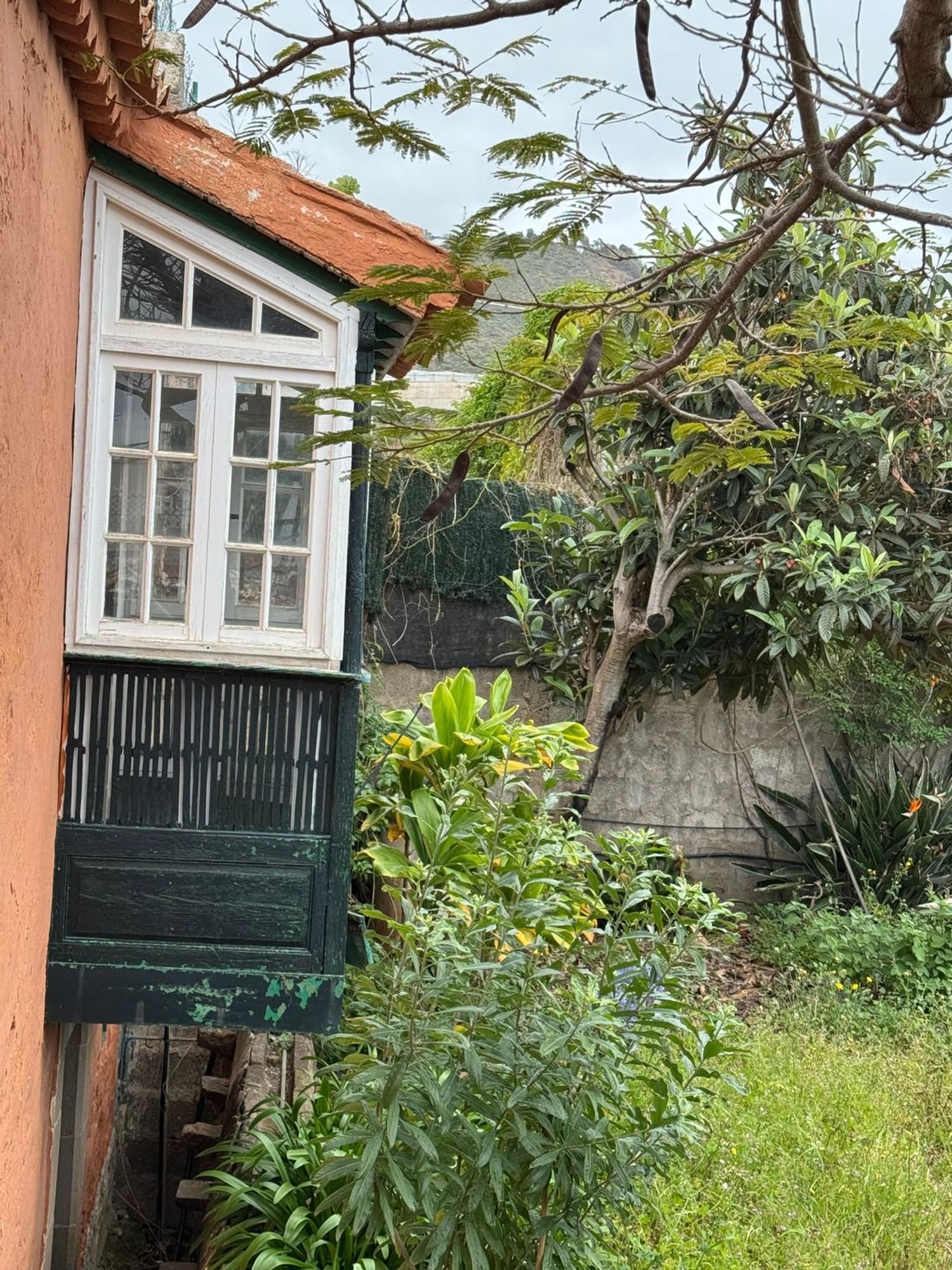 Casas o chalets-Venta-Arucas-1904762-Foto-32