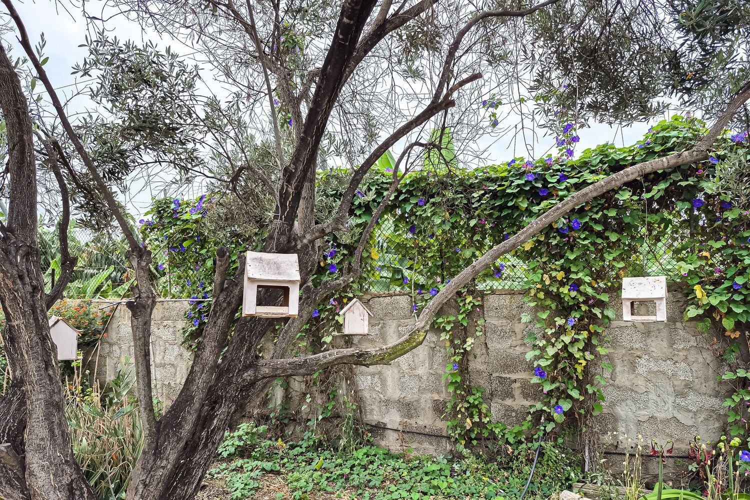 Casas o chalets-Venta-Arucas-1904762-Foto-36