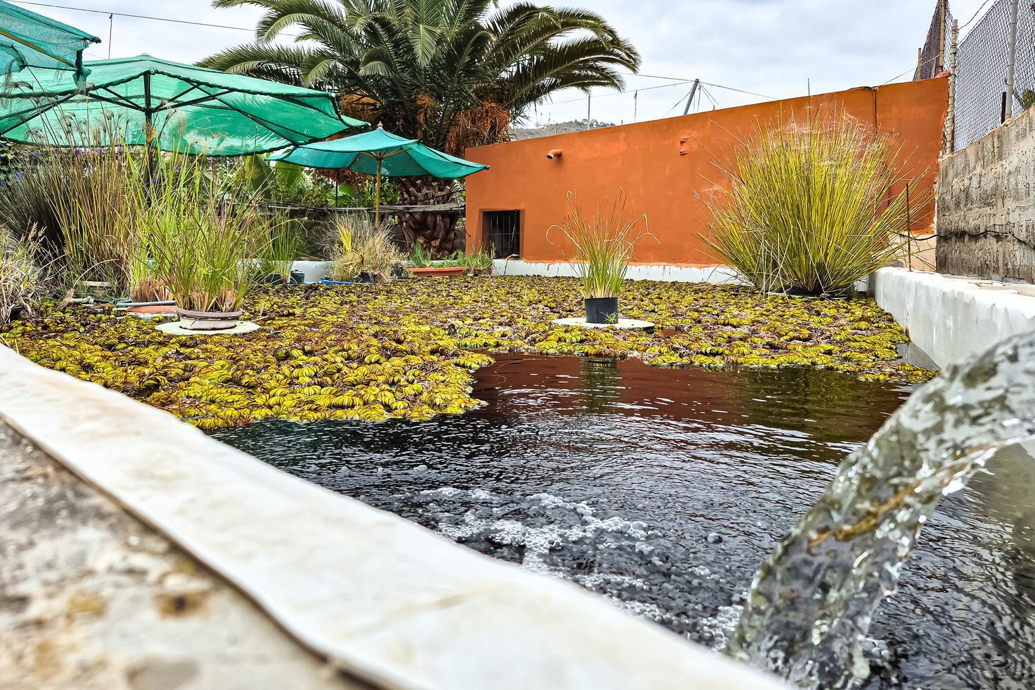 Casas o chalets-Venta-Arucas-1904762-Foto-38