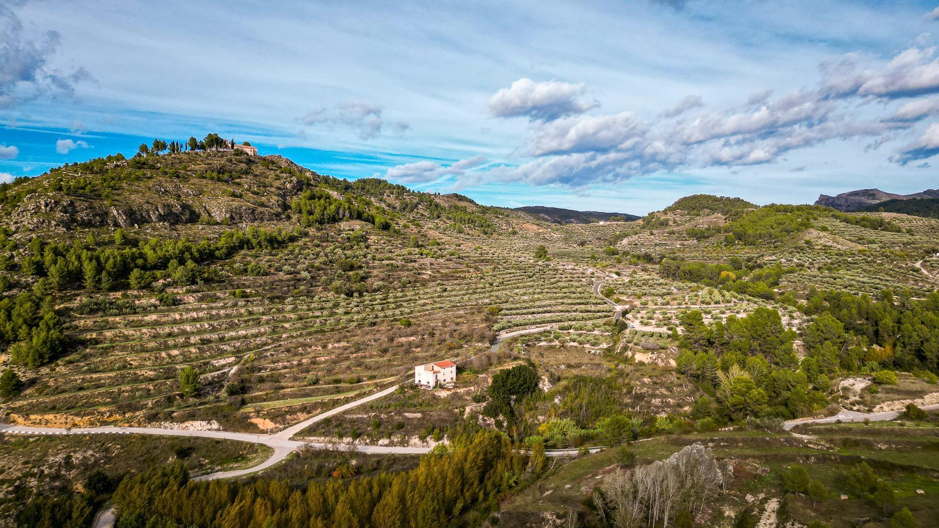 Pisos-Venta-Planes-1942885-Foto-25