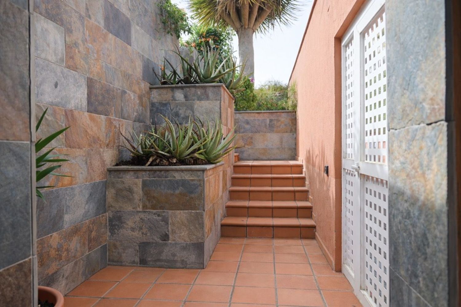 Casas o chalets-Venta-Santa BrÃ­gida-2152183-Foto-22