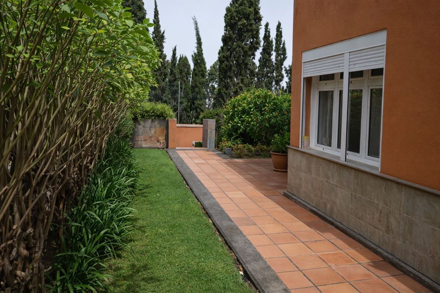 Casas o chalets-Venta-Santa BrÃ­gida-2152183-Foto-25