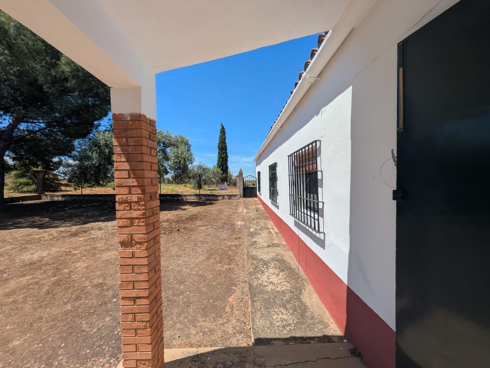 Fincas y solares-Venta-Solana de los Barros-1746748-Foto-5