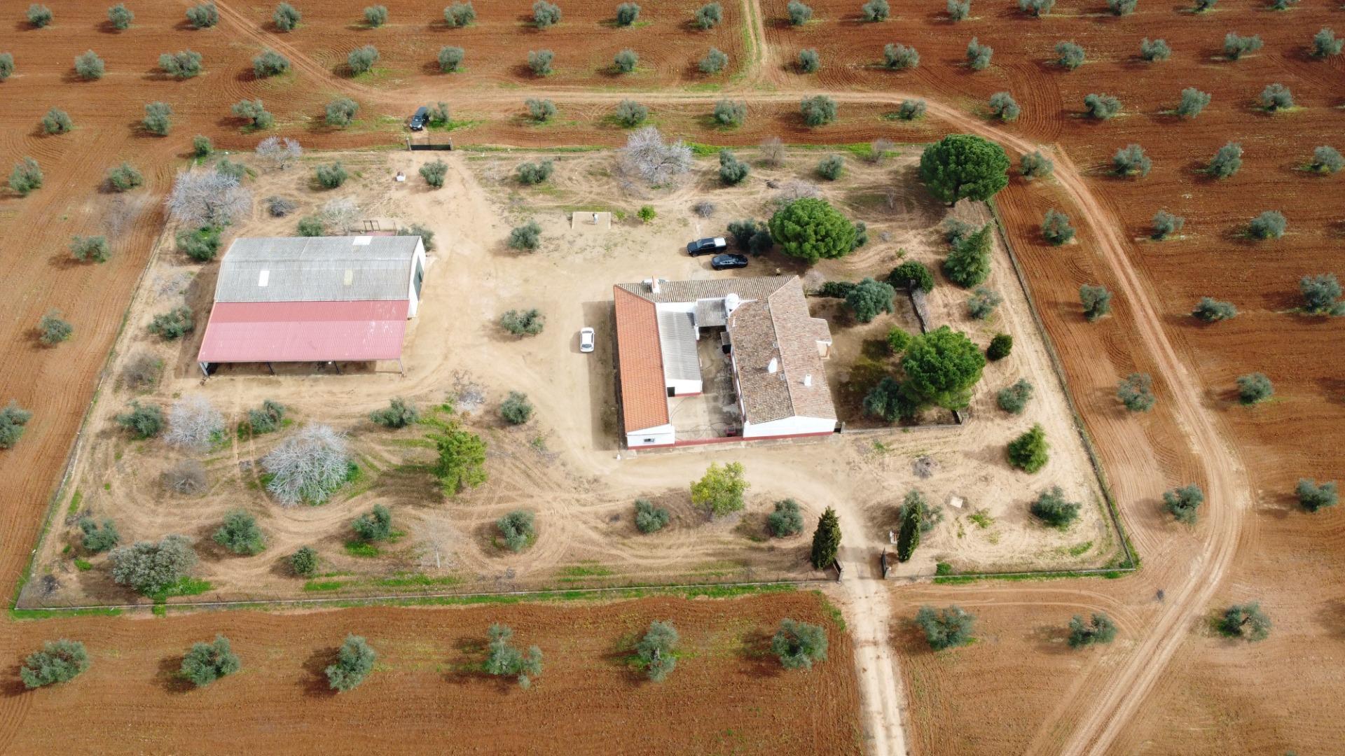Fincas y solares-Venta-Solana de los Barros-1746748-Foto-3