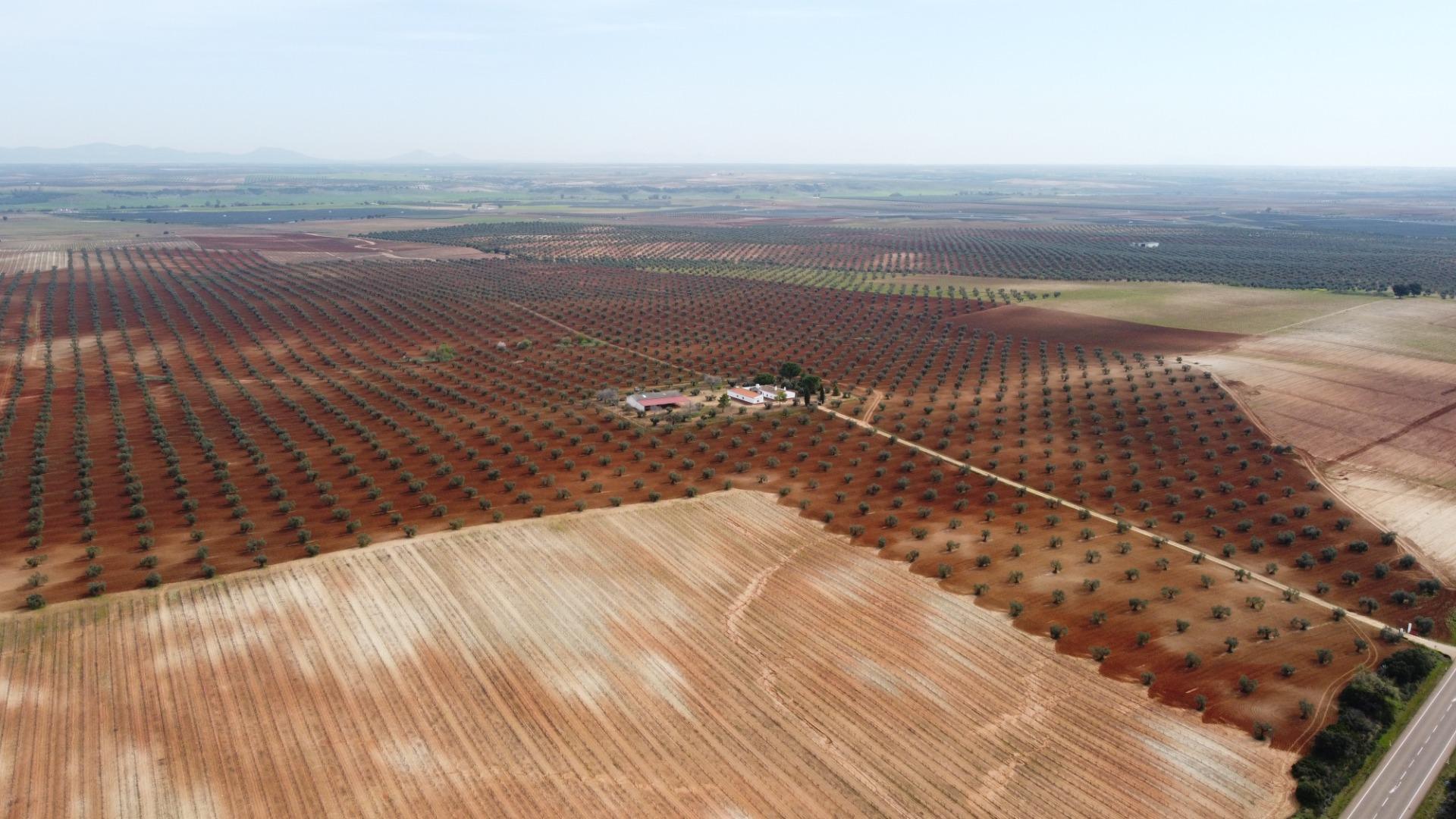 Fincas y solares-Venta-1746748