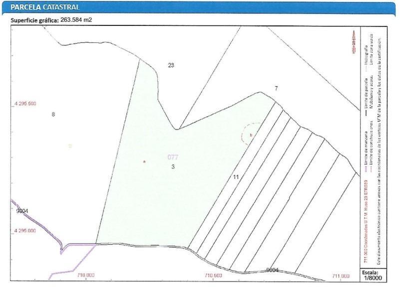 Fincas y solares-Venta-Solana de los Barros-1746748-Foto-14