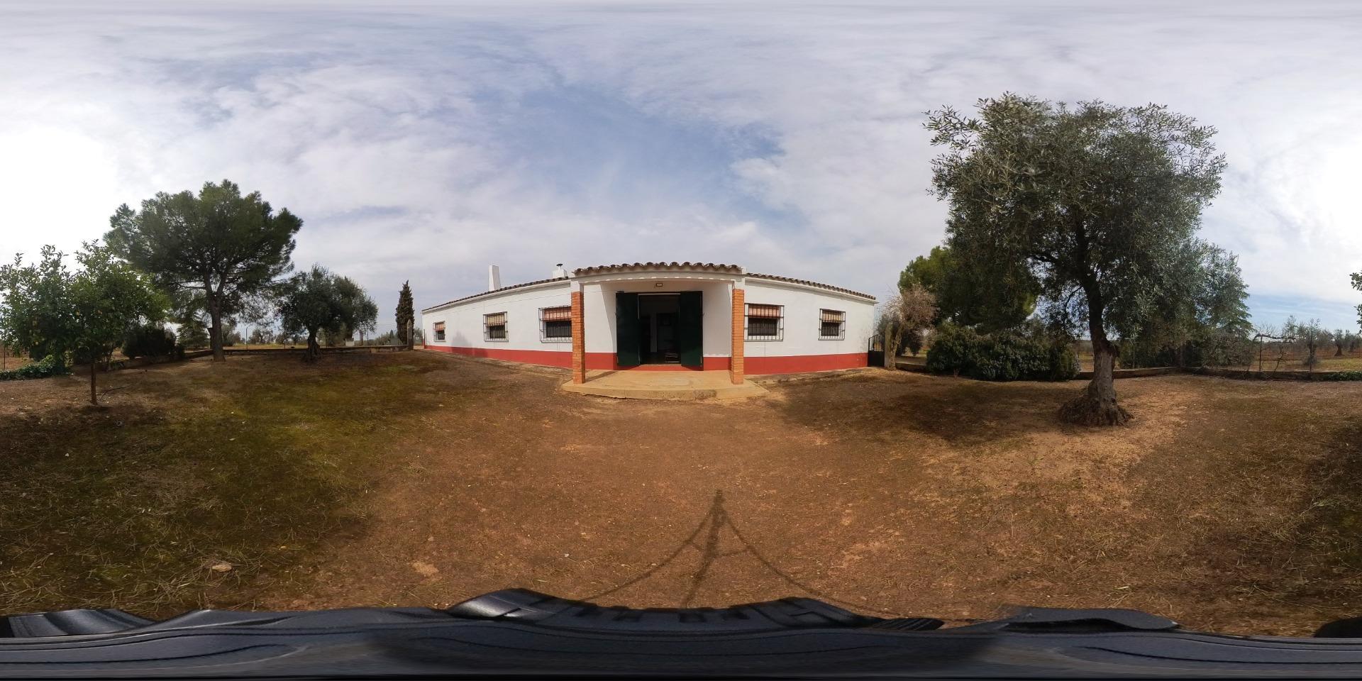 Fincas y solares-Venta-Solana de los Barros-1746748-Foto-48