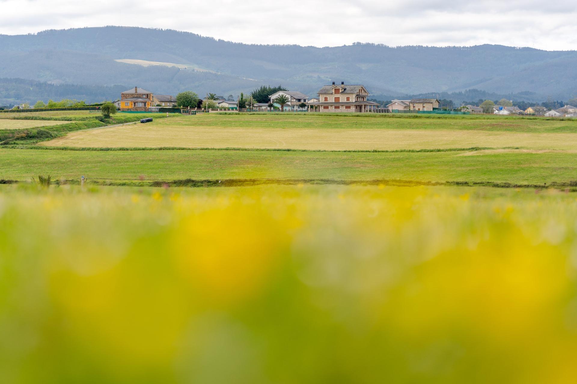 Casas o chalets-Venta-Castropol-1943467-Foto-16