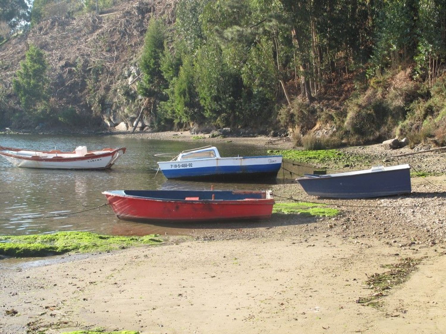 Casas o chalets-Venta-NigrÃ¡n-876546-Foto-10