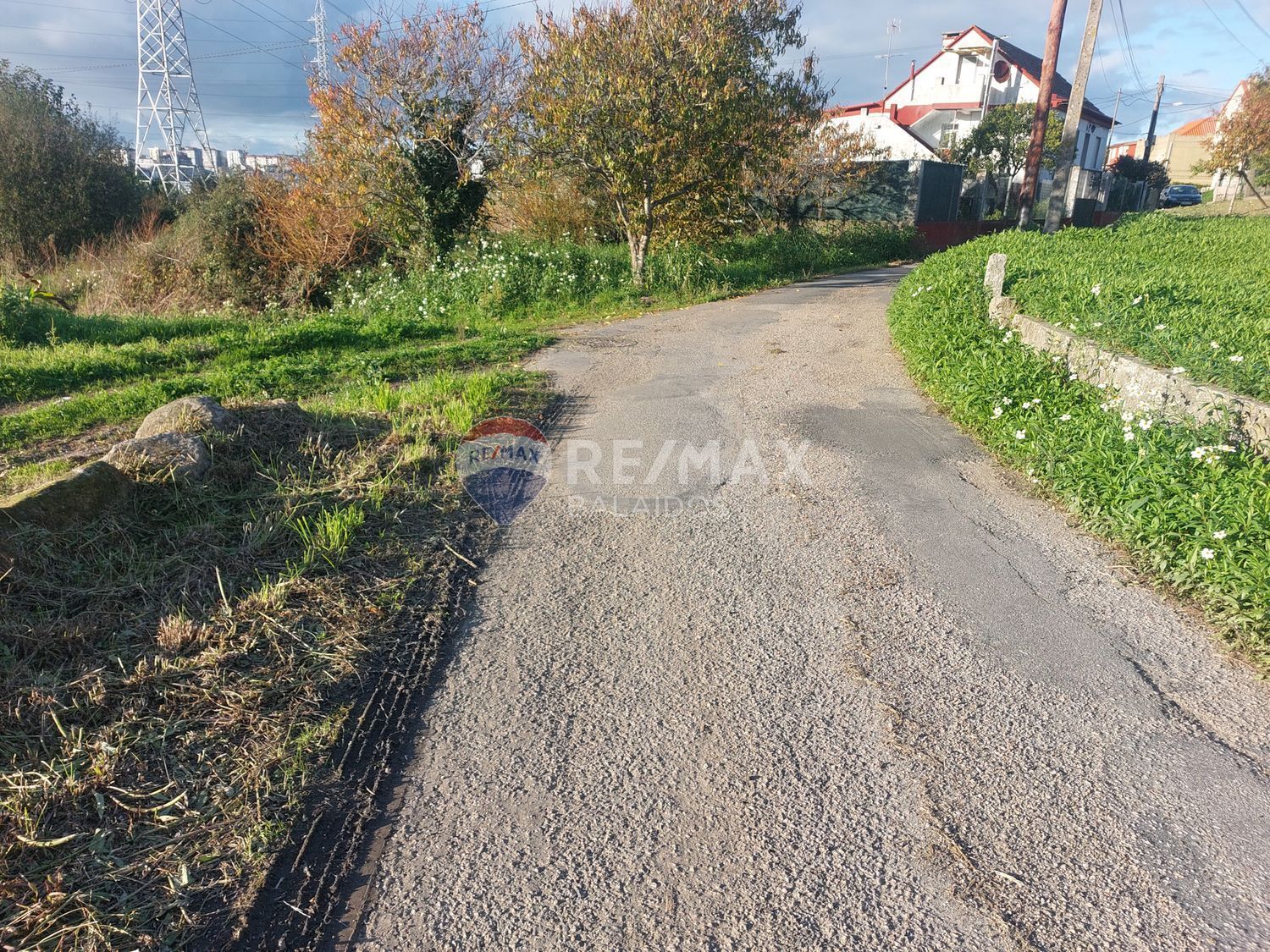 Fincas y solares-Venta-Vigo-2092379-Foto-5