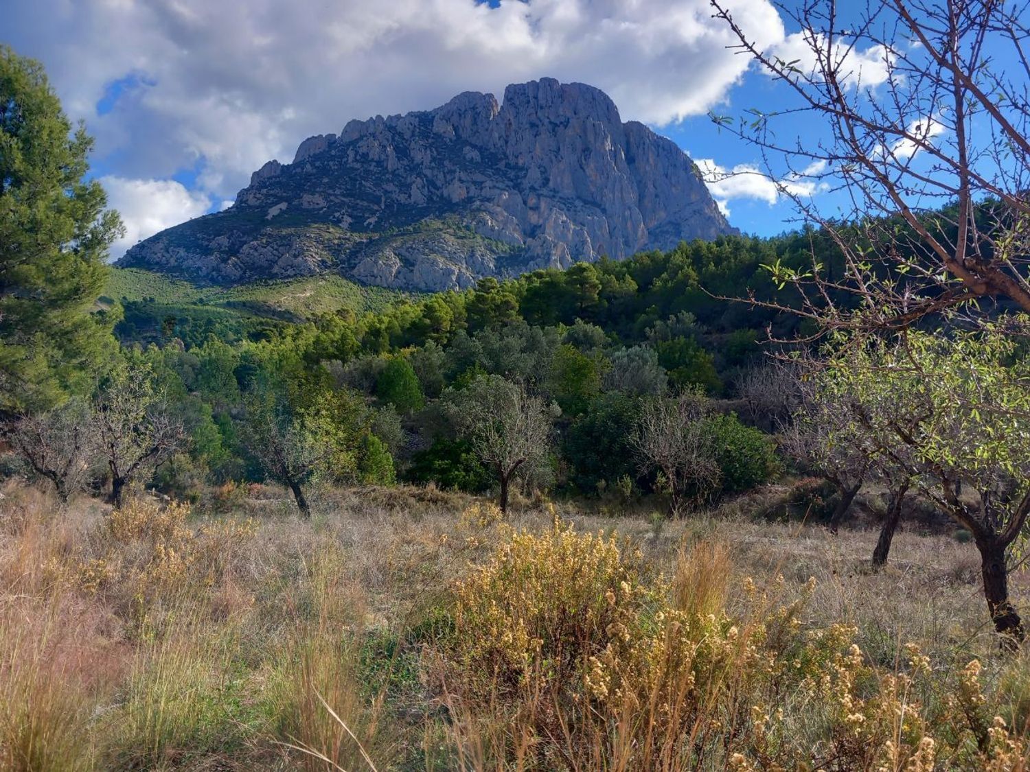 Fincas y solares-Venta-1700964