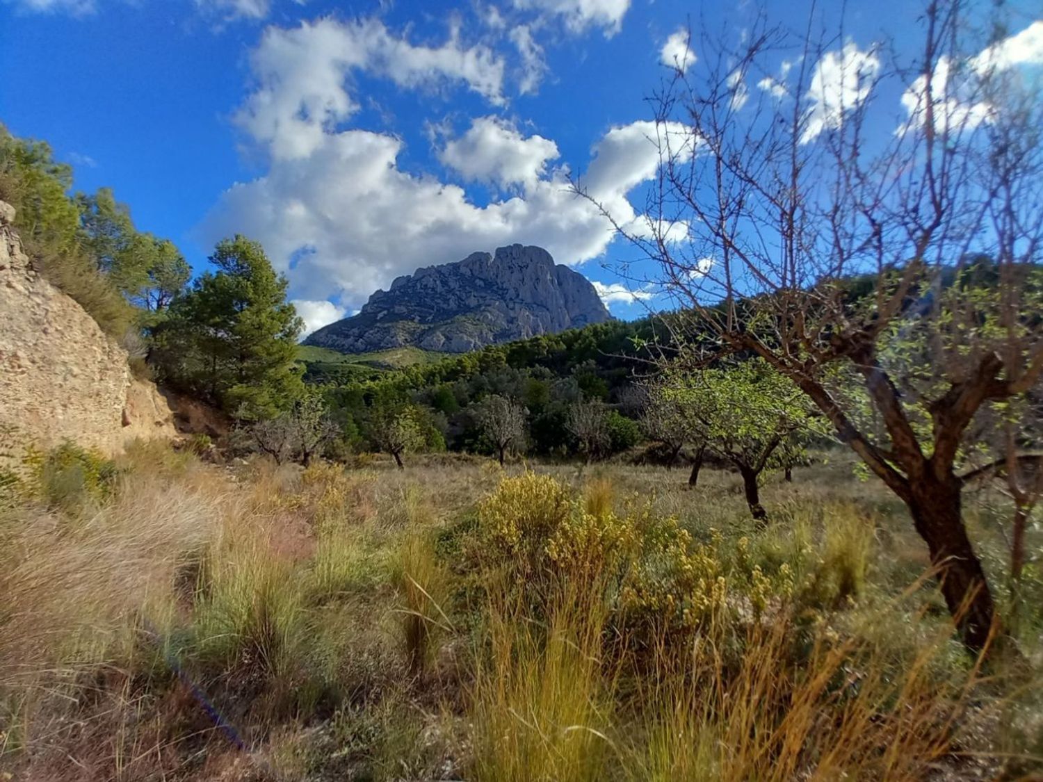 Fincas y solares-Venta-Finestrat-1700964-Foto-3