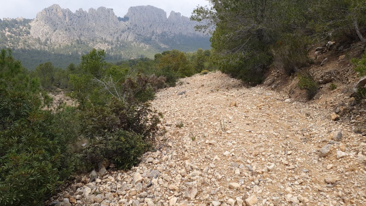 Fincas y solares-Venta-Finestrat-1700964-Foto-17