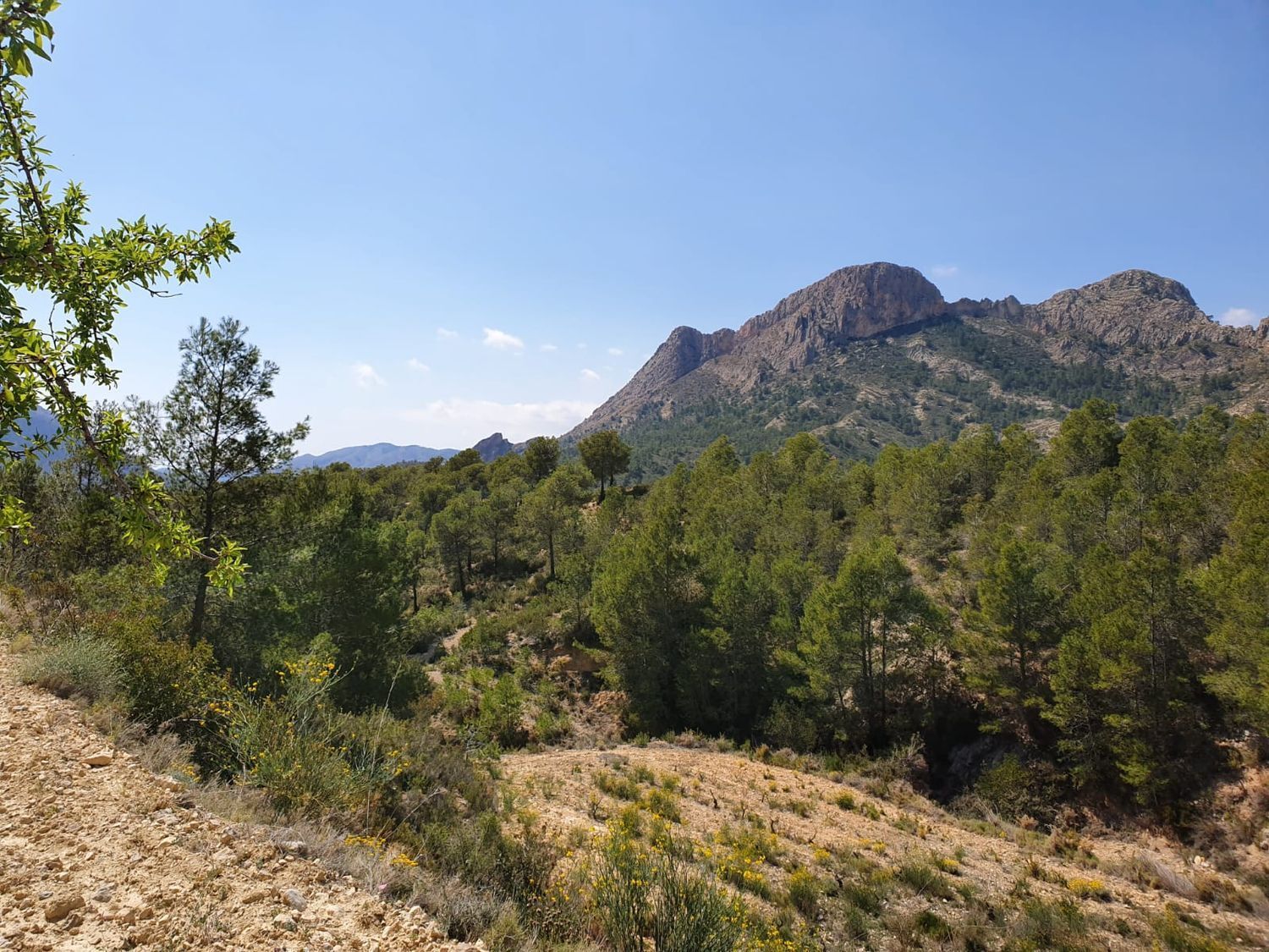 Fincas y solares-Venta-Finestrat-1700964-Foto-21