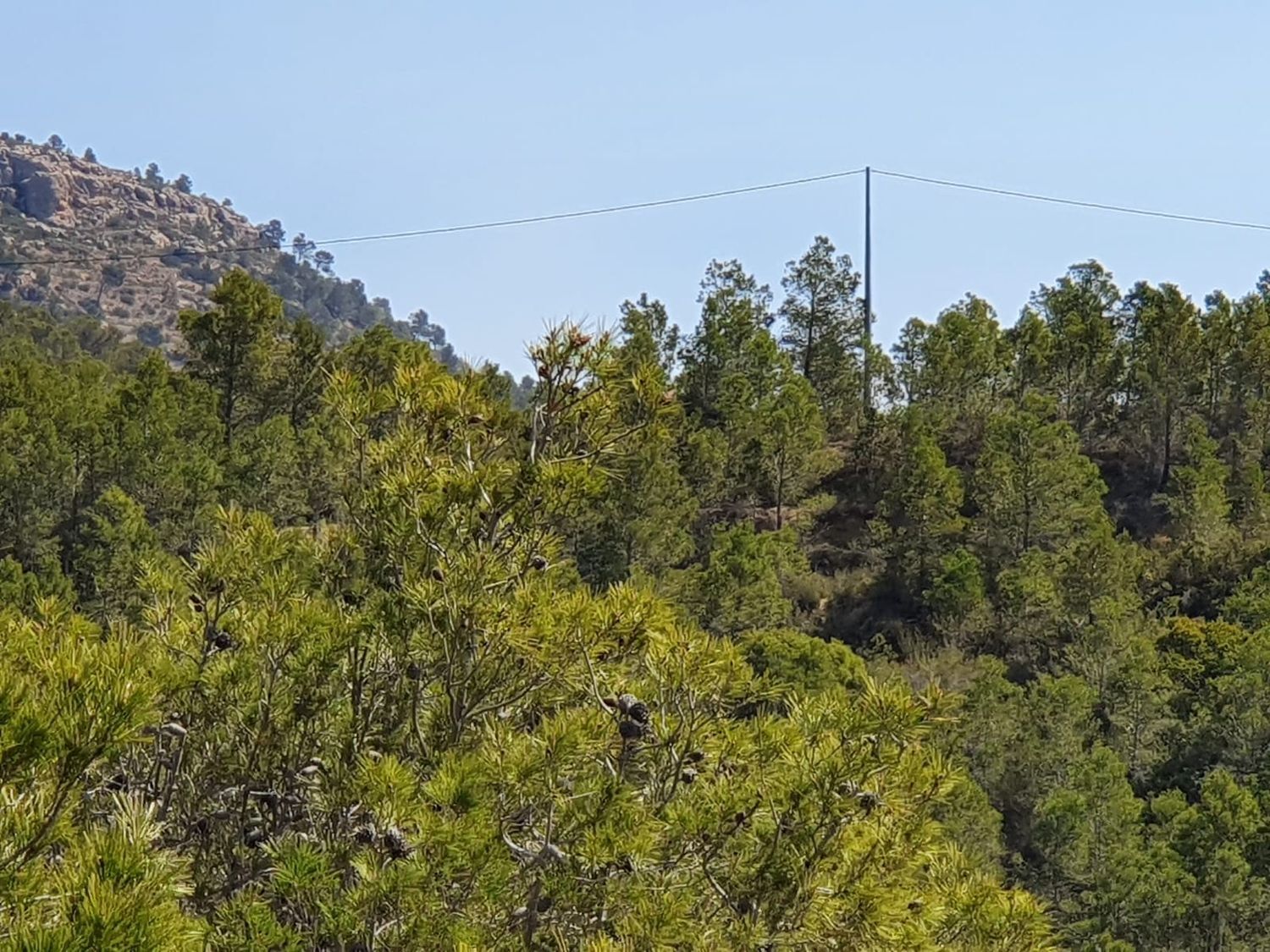 Fincas y solares-Venta-Finestrat-1700964-Foto-18