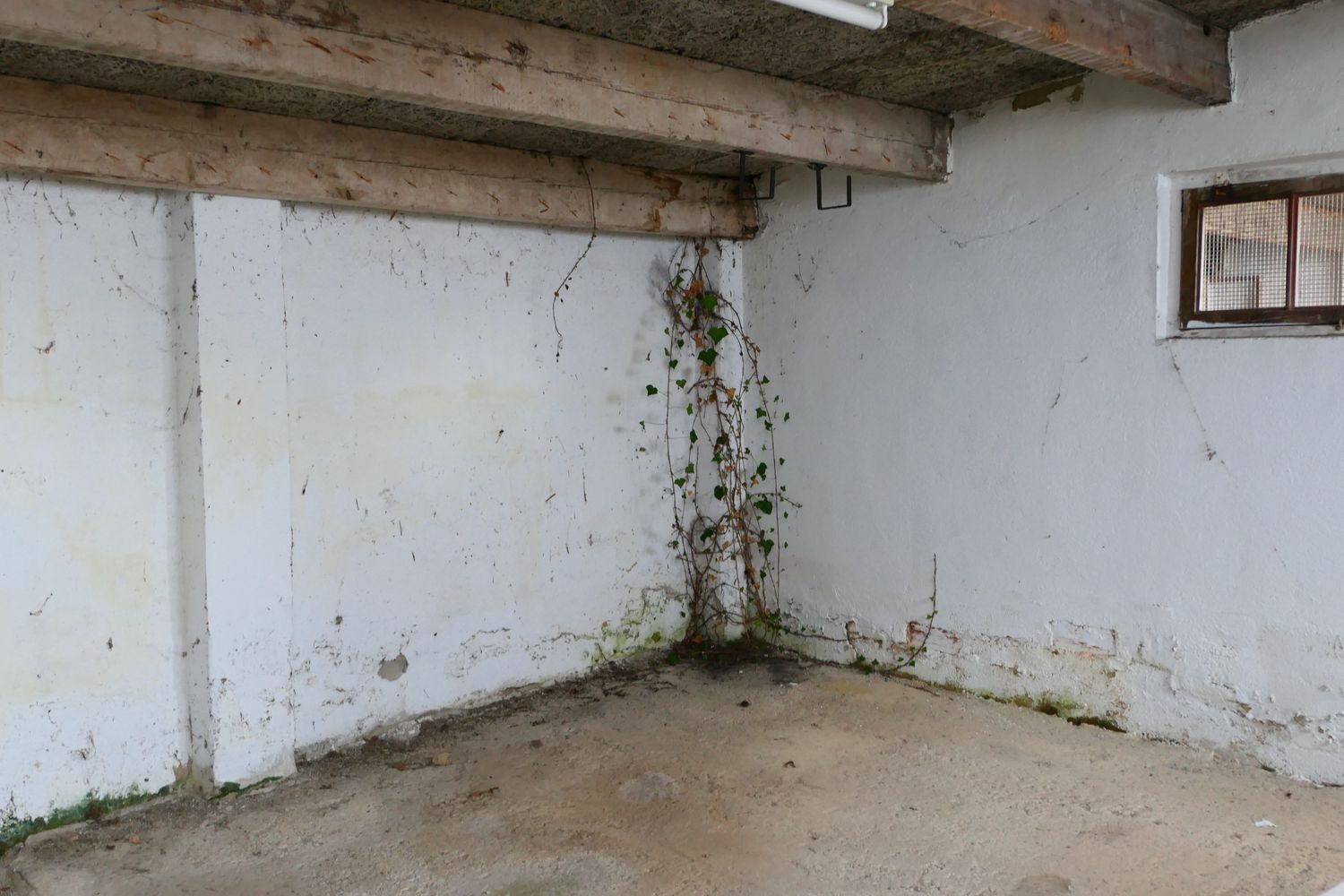 Casas o chalets-Venta-GijÃ³n-2150277-Foto-38