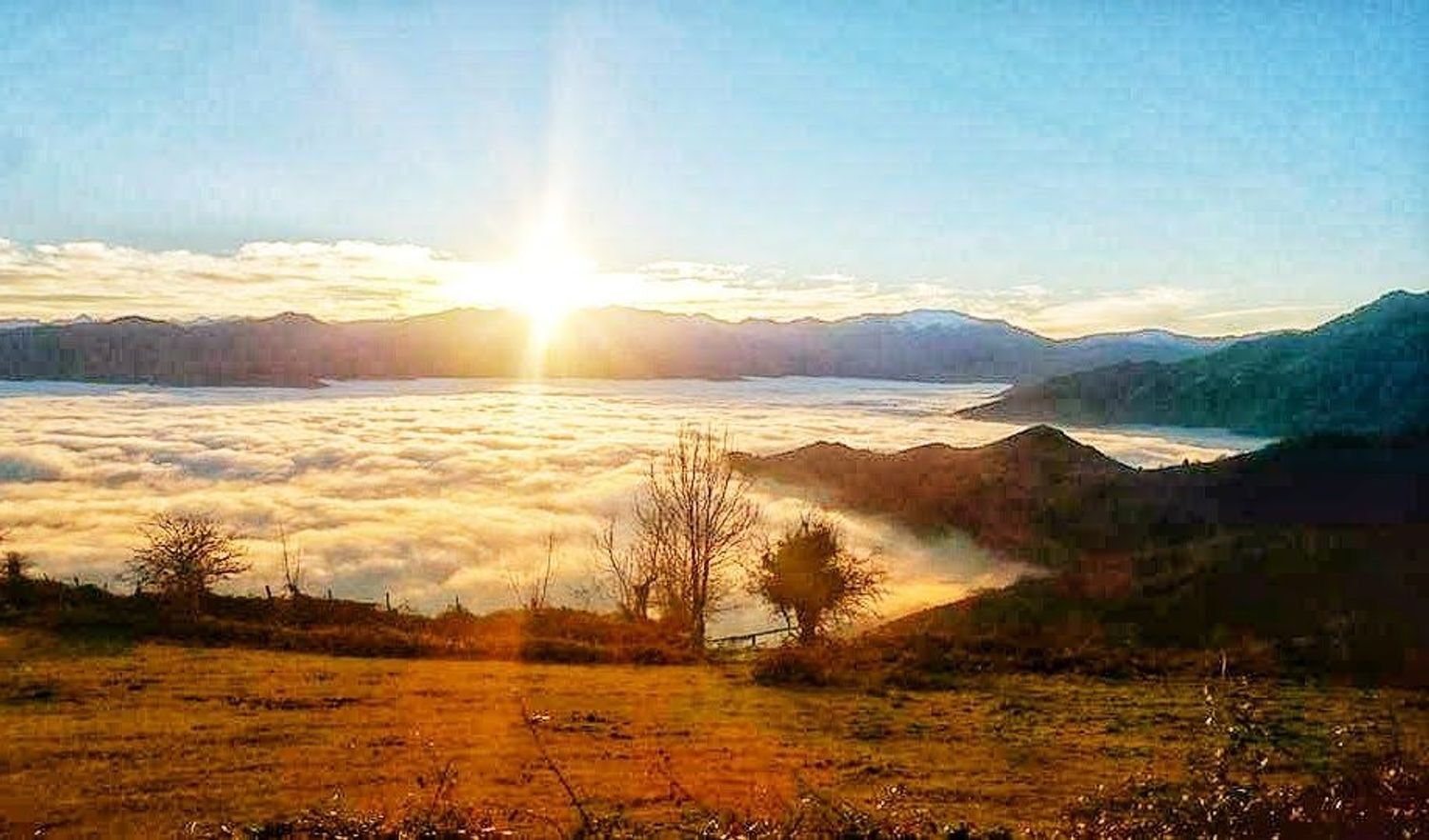 Casas o chalets-Venta-QuirÃ³s-2031348-Foto-40