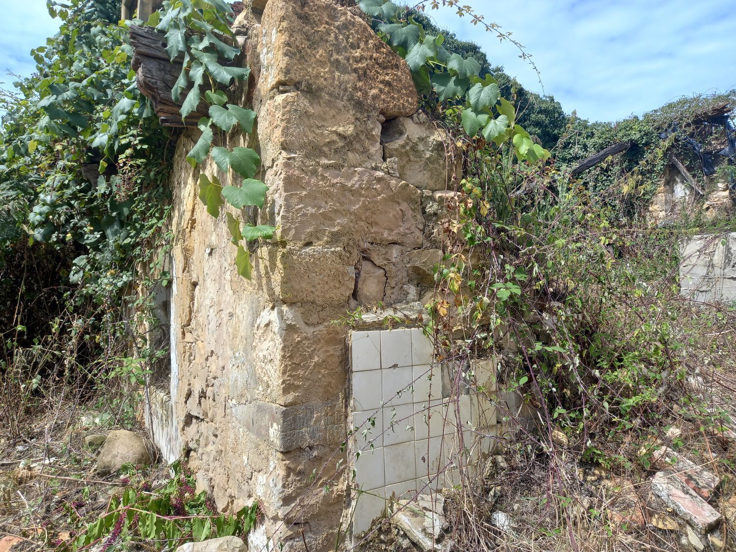 Casas o chalets-Venta-PiloÃ±a-925013-Foto-3