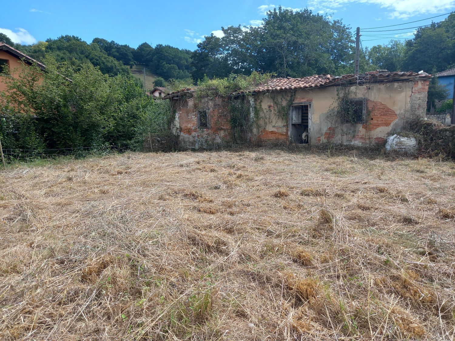 Casas o chalets-Venta-PiloÃ±a-925013-Foto-13