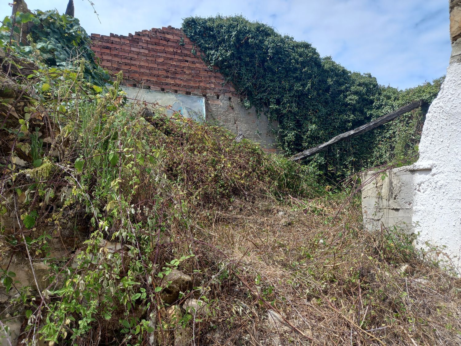 Casas o chalets-Venta-PiloÃ±a-925013-Foto-11