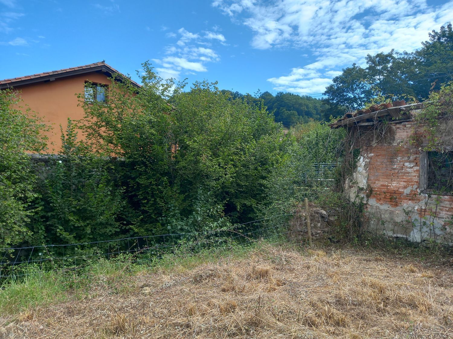 Casas o chalets-Venta-PiloÃ±a-925013-Foto-20