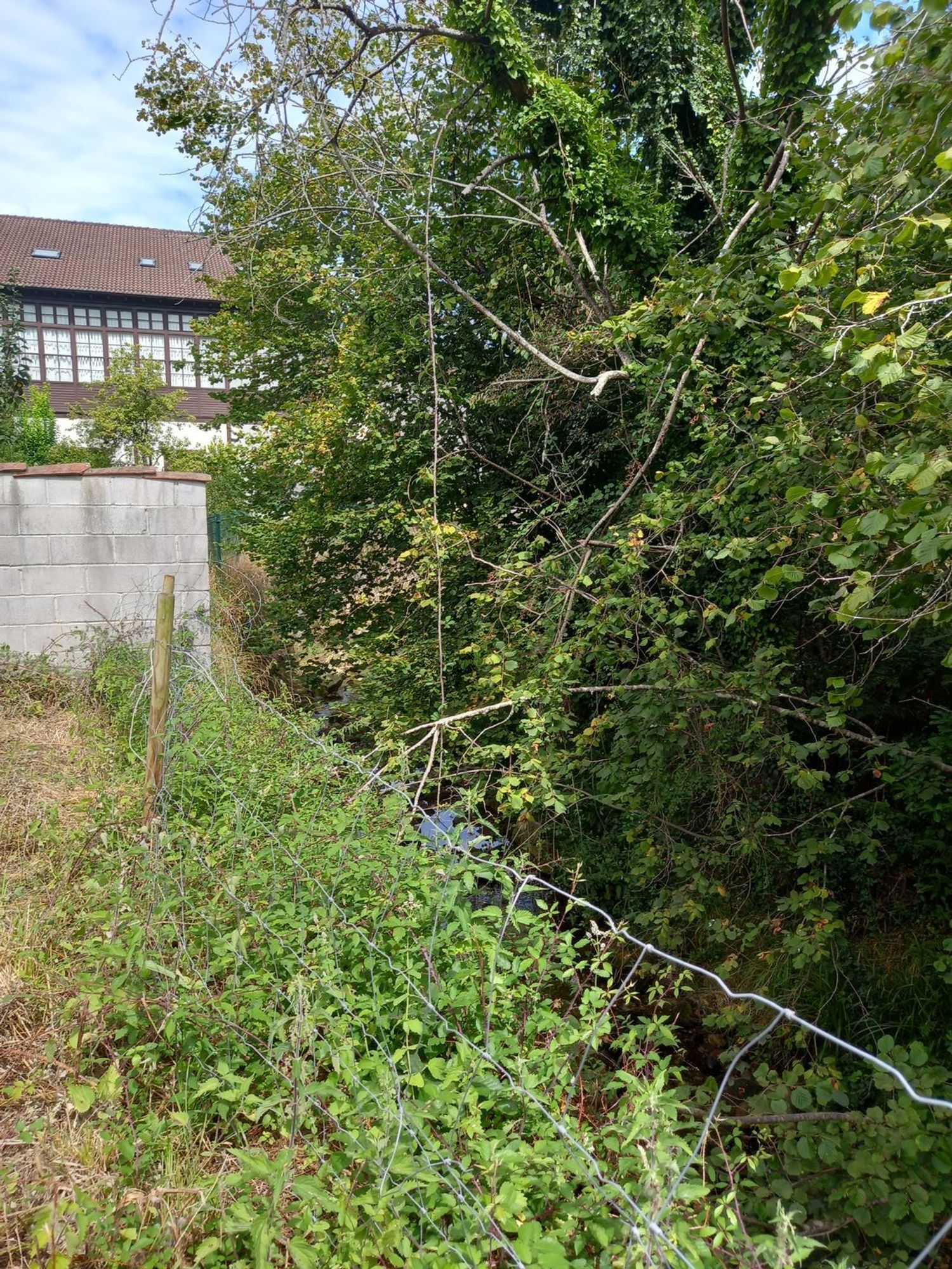 Casas o chalets-Venta-PiloÃ±a-925013-Foto-19