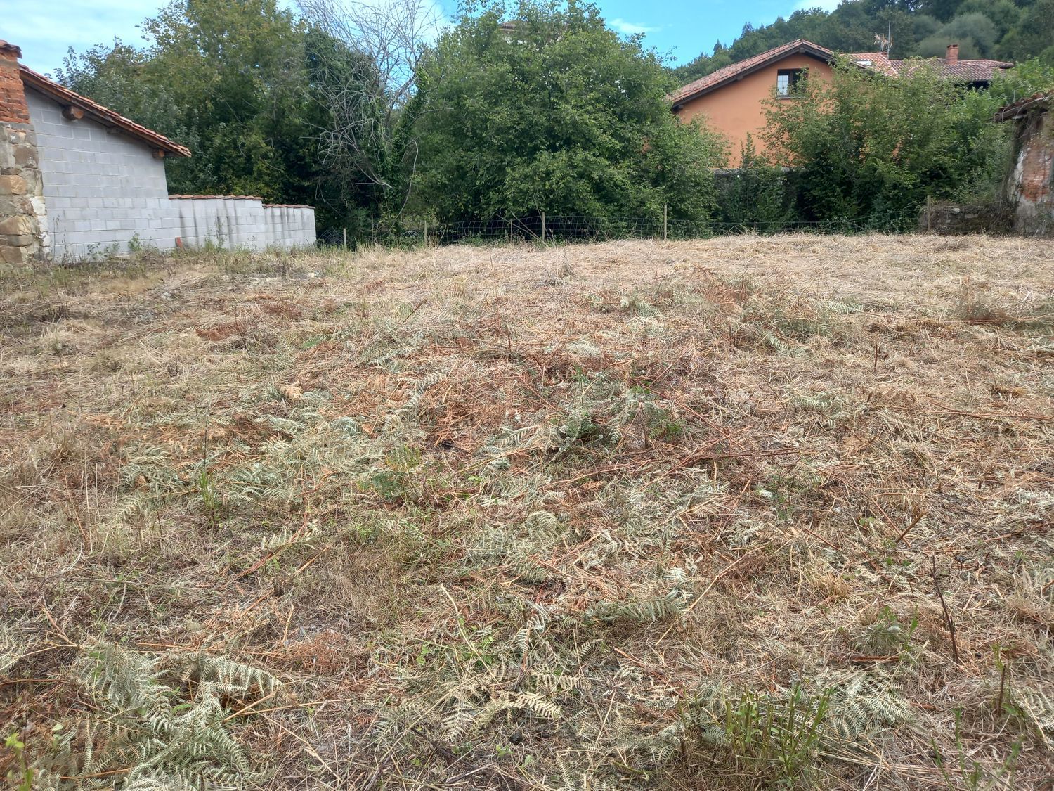 Casas o chalets-Venta-PiloÃ±a-925013-Foto-26