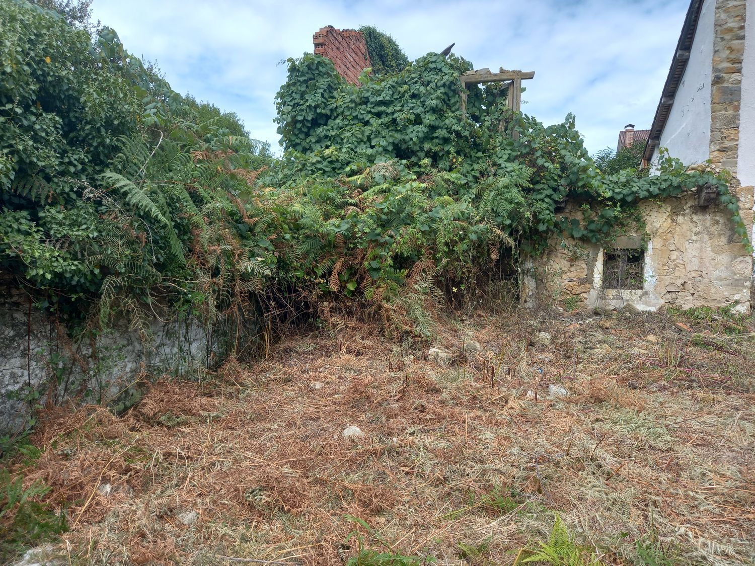 Casas o chalets-Venta-PiloÃ±a-925013-Foto-24