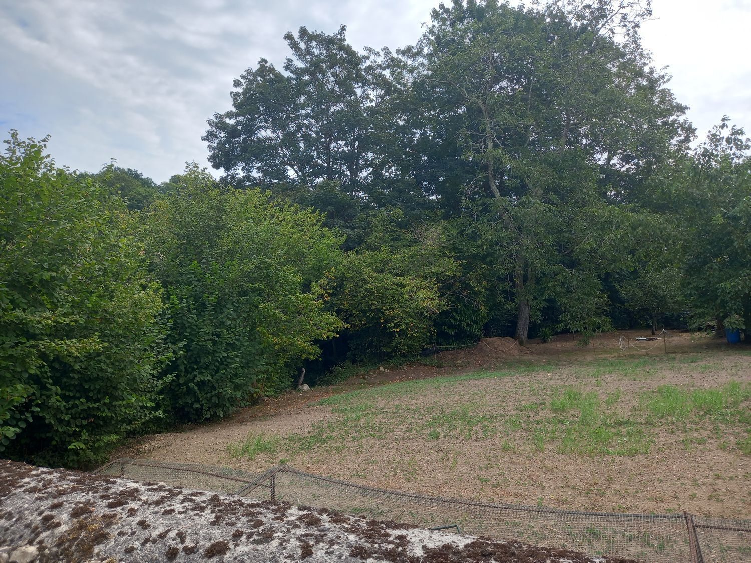 Casas o chalets-Venta-PiloÃ±a-925013-Foto-35