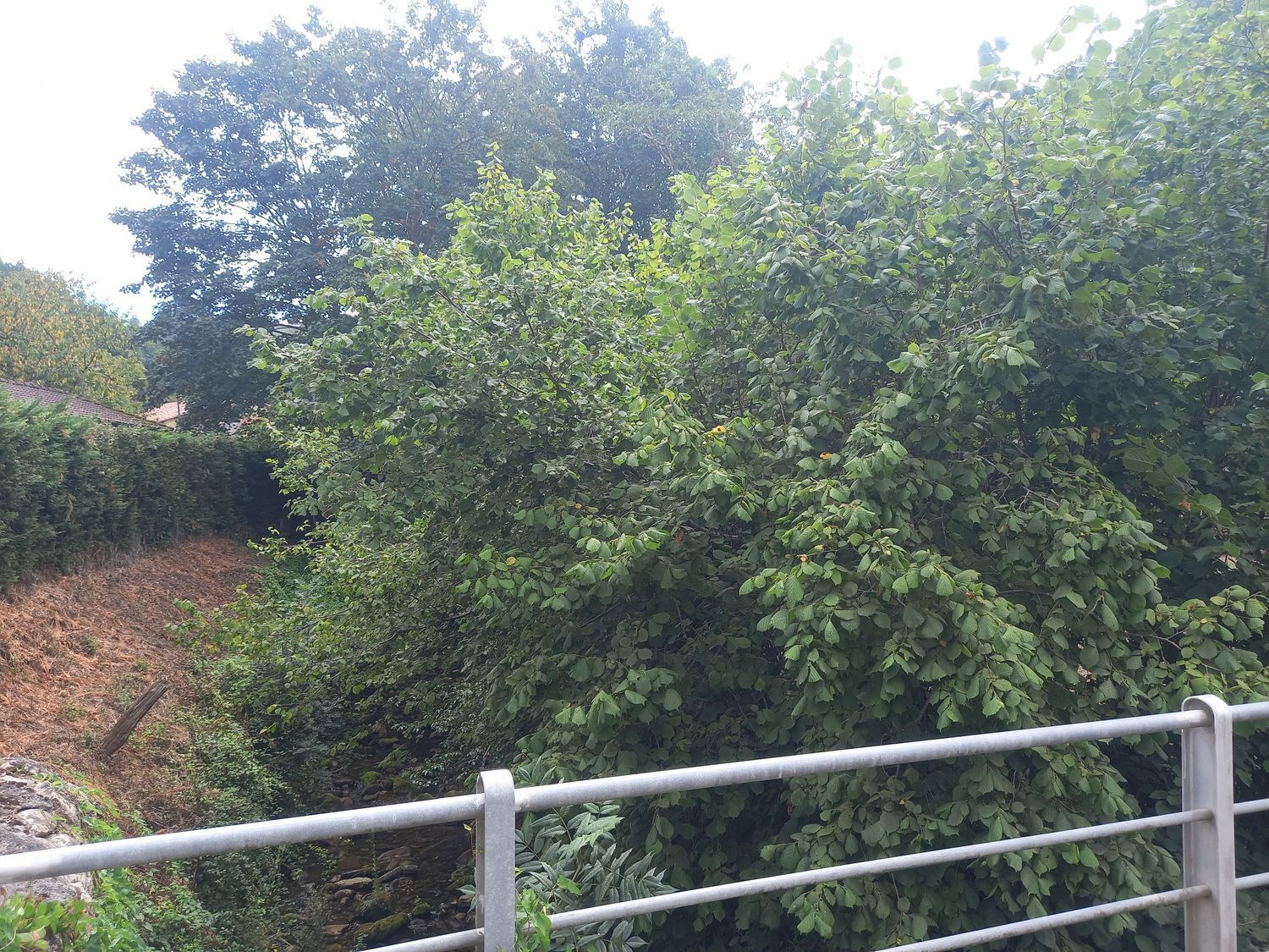 Casas o chalets-Venta-PiloÃ±a-925013-Foto-33