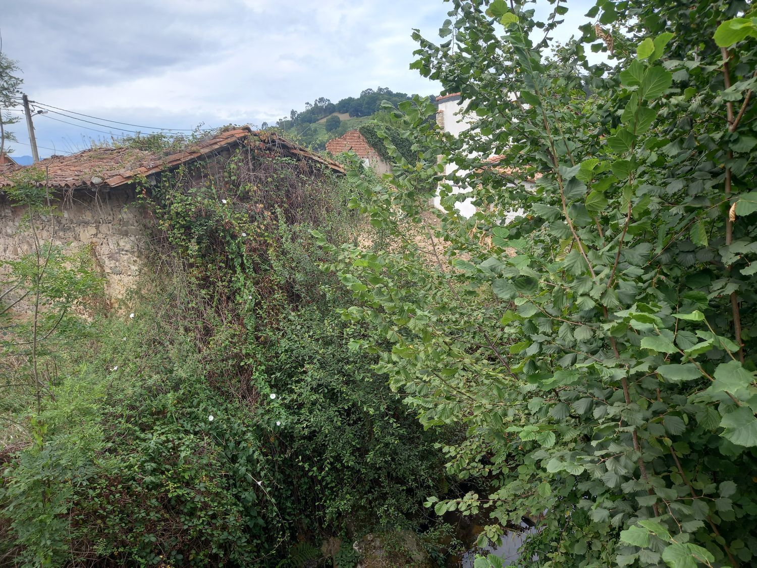 Casas o chalets-Venta-PiloÃ±a-925013-Foto-43