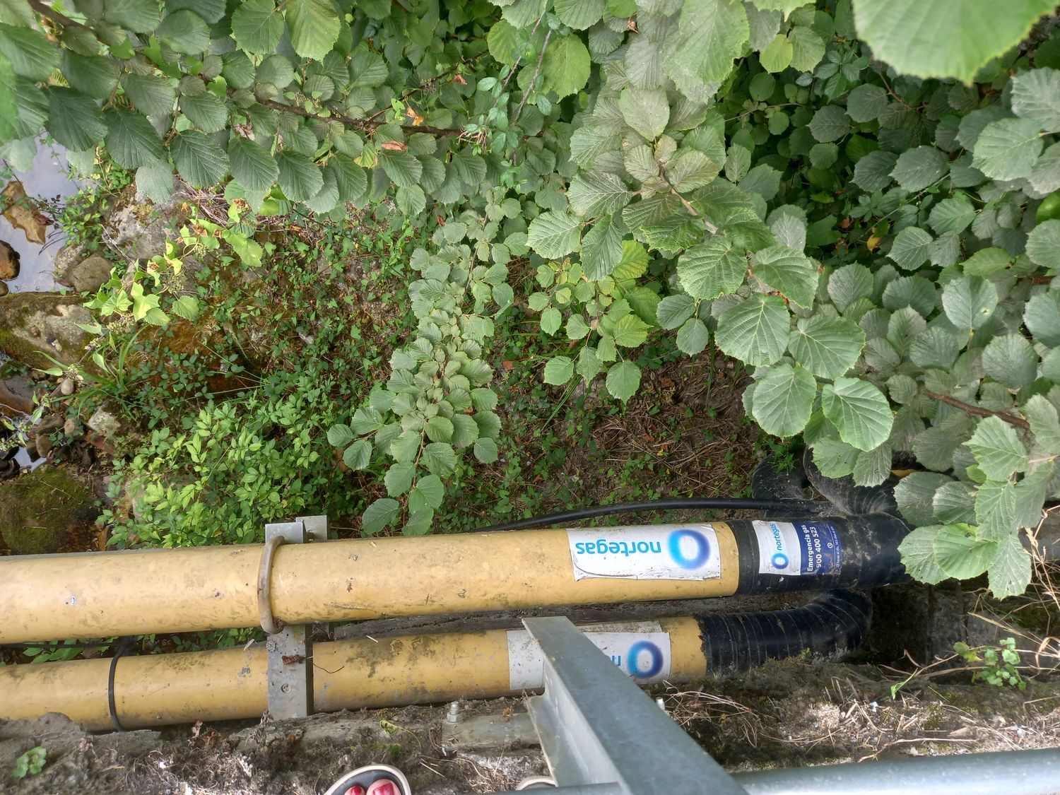 Casas o chalets-Venta-PiloÃ±a-925013-Foto-42