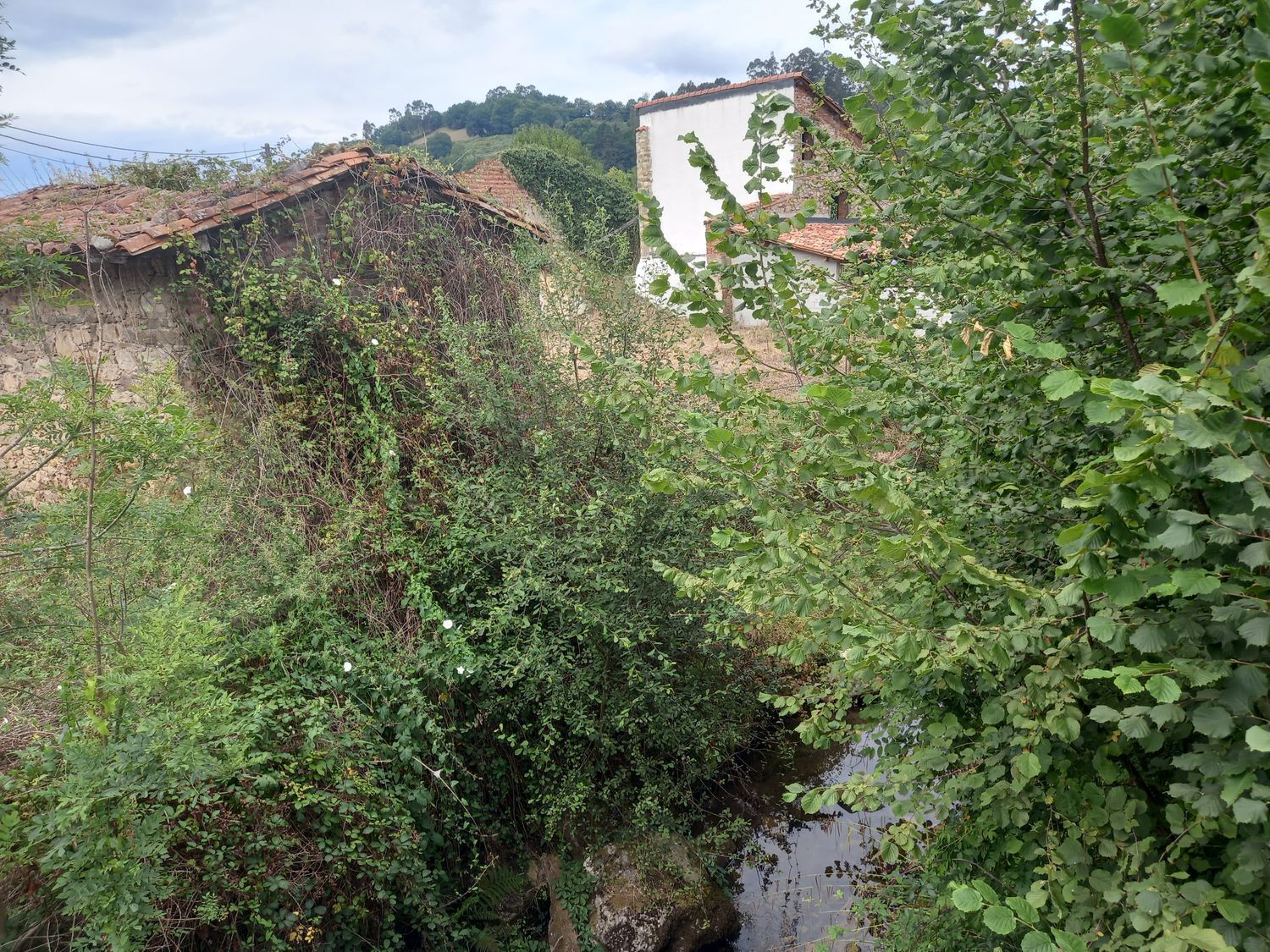 Casas o chalets-Venta-PiloÃ±a-925013-Foto-41