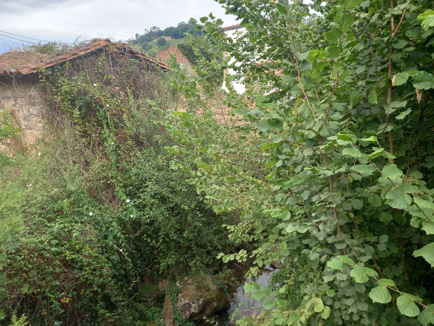 Casas o chalets-Venta-PiloÃ±a-925013-Foto-44