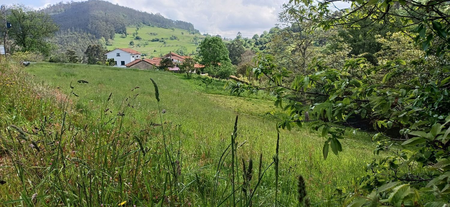 Fincas y solares-Venta-Las Tres Villas-1731766-Foto-12