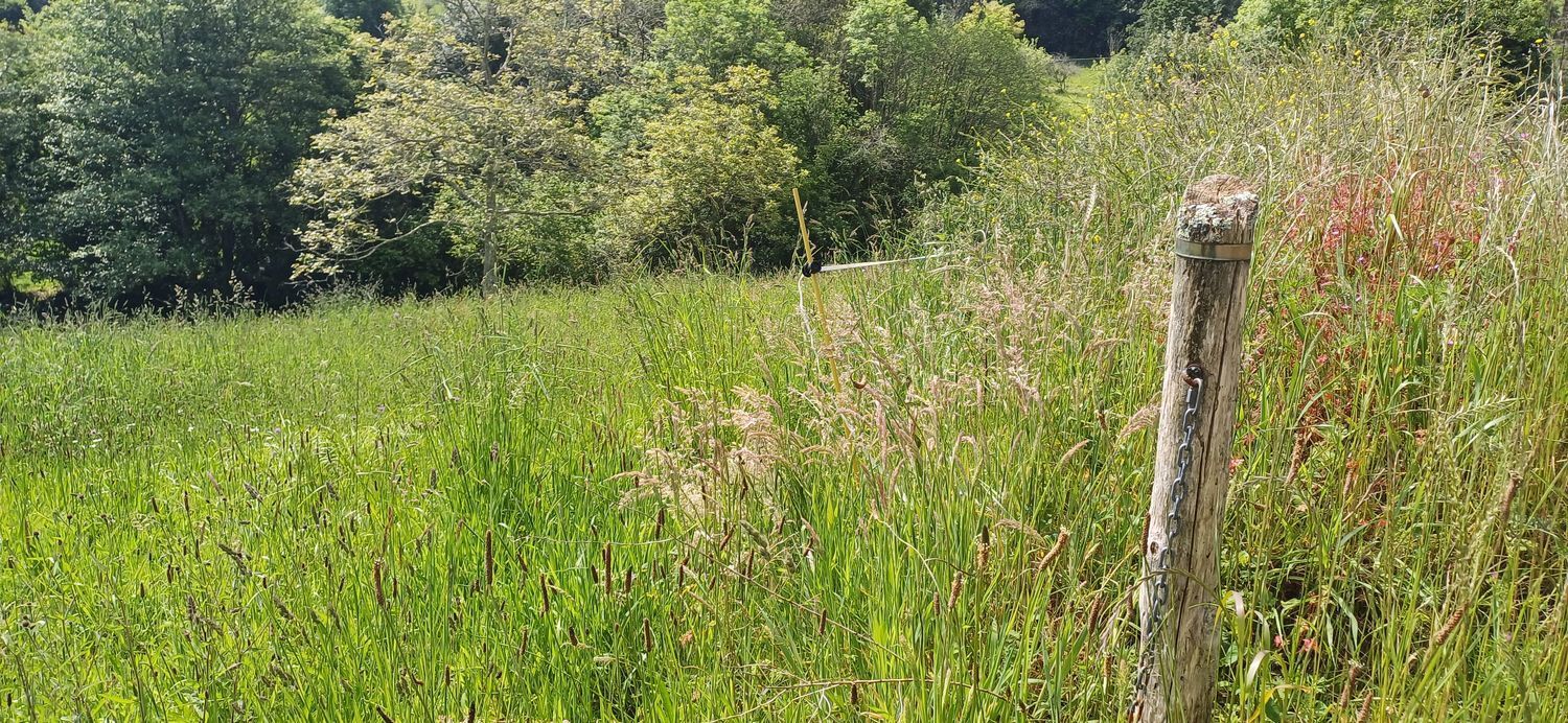 Fincas y solares-Venta-Las Tres Villas-1731766-Foto-9