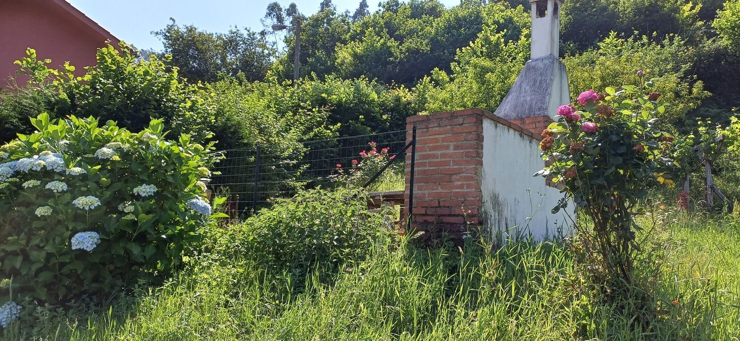 Casas o chalets-Venta-Colunga-1751780-Foto-24