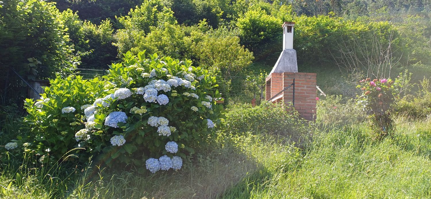 Casas o chalets-Venta-Colunga-1751780-Foto-56